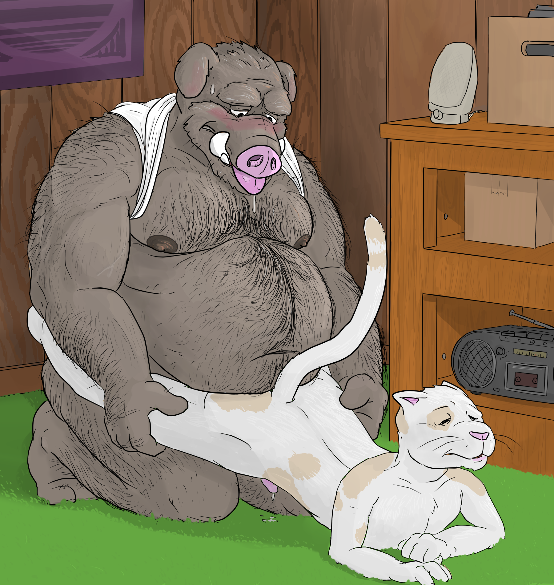 gator (artist), age difference, anal, anal sex, anthro, belly, big dom small sub, blush, boar, carpet, chubby, clothing, cum, drooling, feline, furry, hairy, hirsute, male, mammal, nipples, overweight, penetration, penis, porcine, saliva, shirt, size difference, sweat, tongue, tongue out, wood, yaoi, 