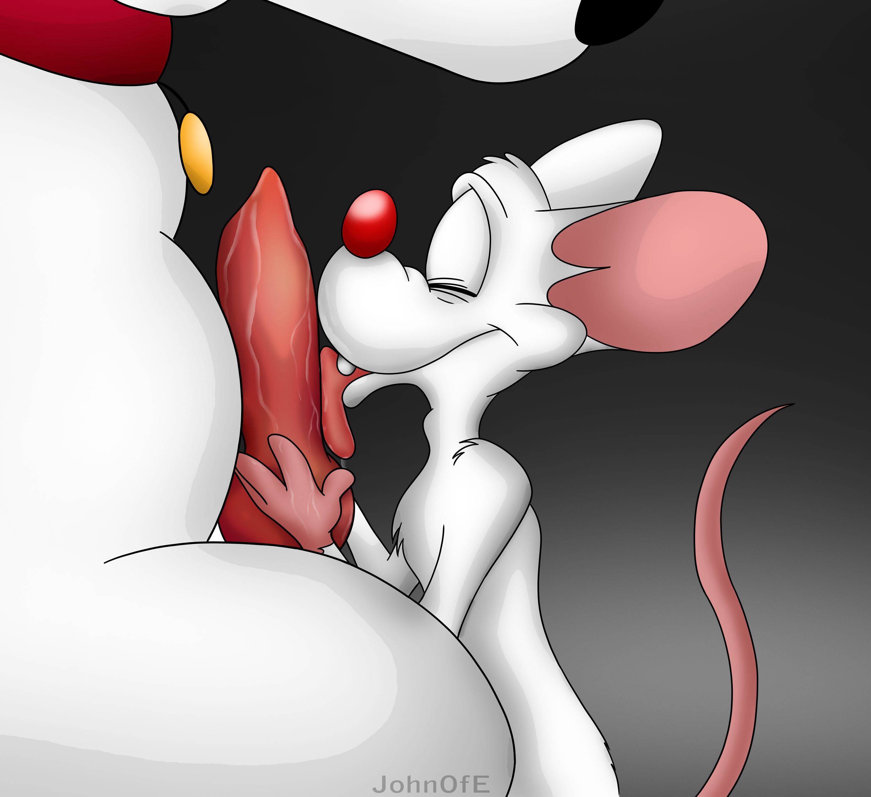 Rule34 - If it exists, there is porn of it / johnofe, brian griffin, pinky  / 344048