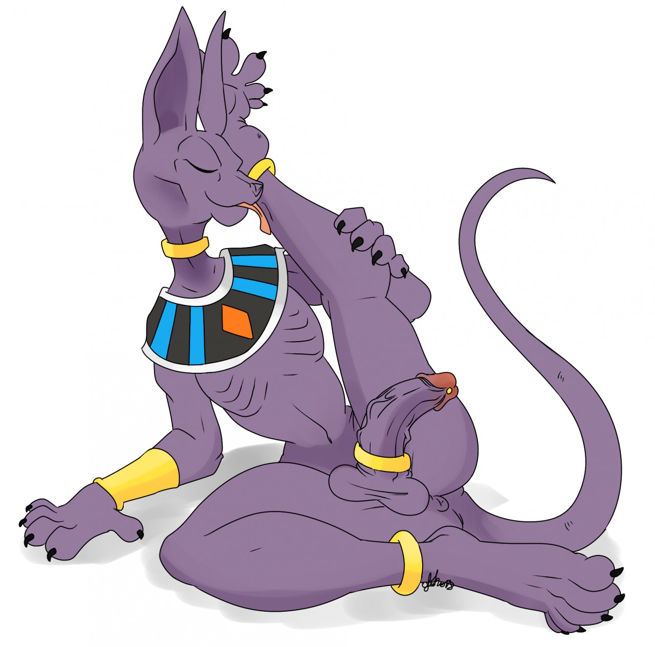 R34 beerus