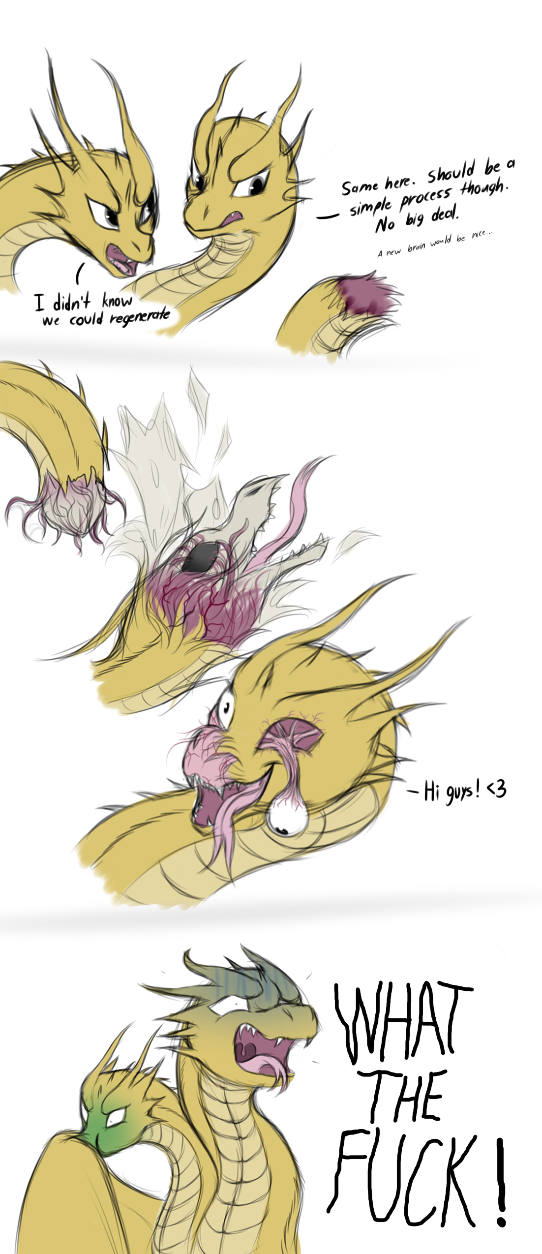 Hydra porn