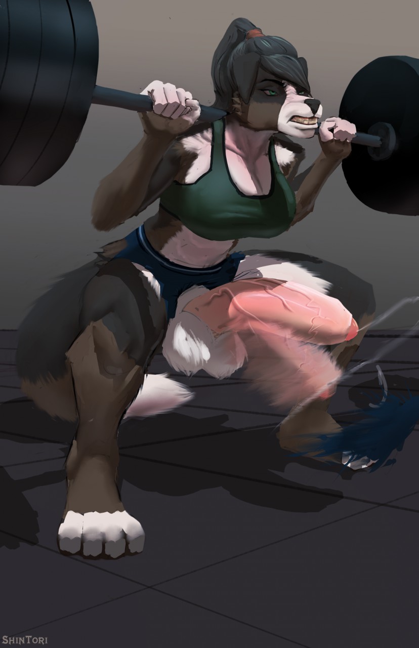 shintori, abs, anthro, balls, big penis, bouncing penis, canine, clothed, clothing, crouching, cum, cumshot, dickgirl, ejaculation, exercise, huge cock, humanoid penis, intersex, mammal, orgasm, penis, solo, uncut, vein, veiny penis, weightlifting, workout, 