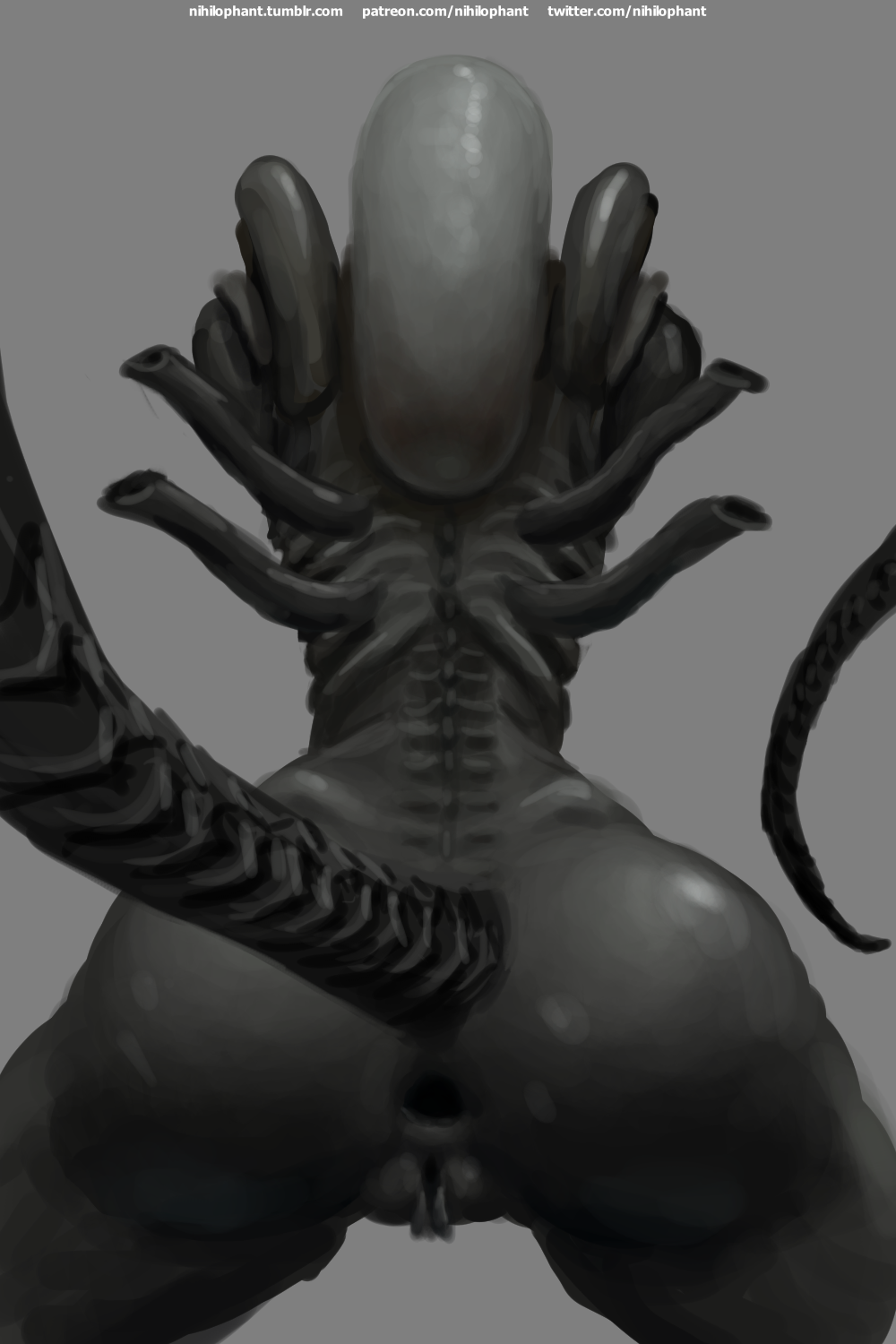 Xenomorph королева nihilophant хентай фото 56