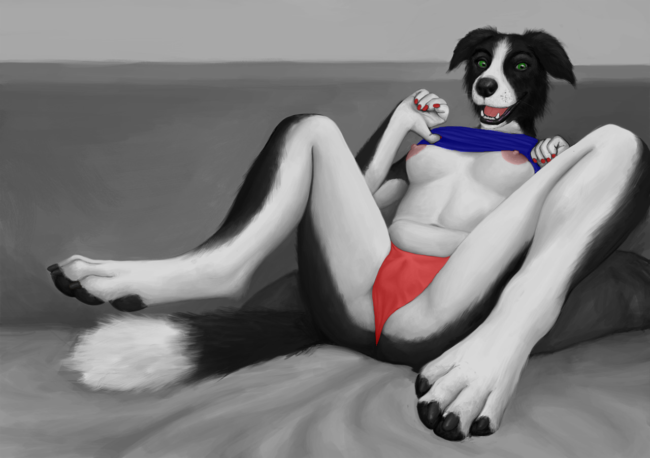 morticus, anthro, border collie, breasts, cameltoe, canine, clothing, colli...