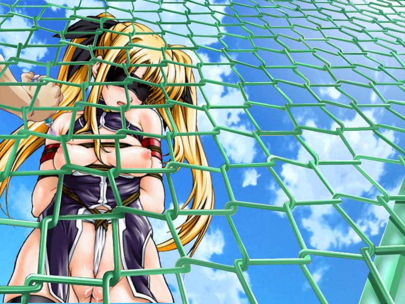 artist request, fate testarossa, lyrical nanoha, mahou shoujo lyrical nanoha, blindfold, bondage, drugs, female, fence, injection, nipples, rope, 