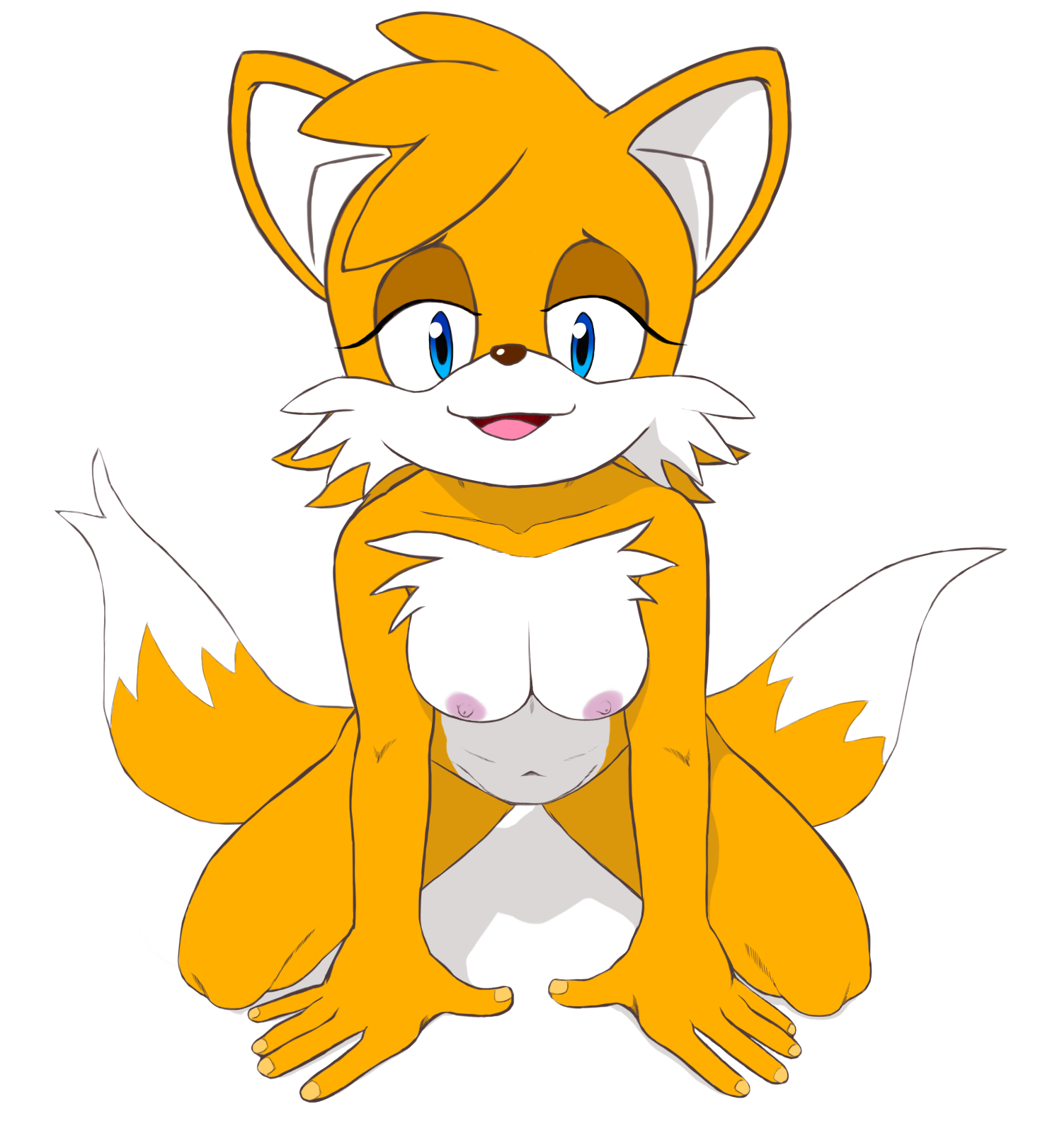 Tailsko the fox
