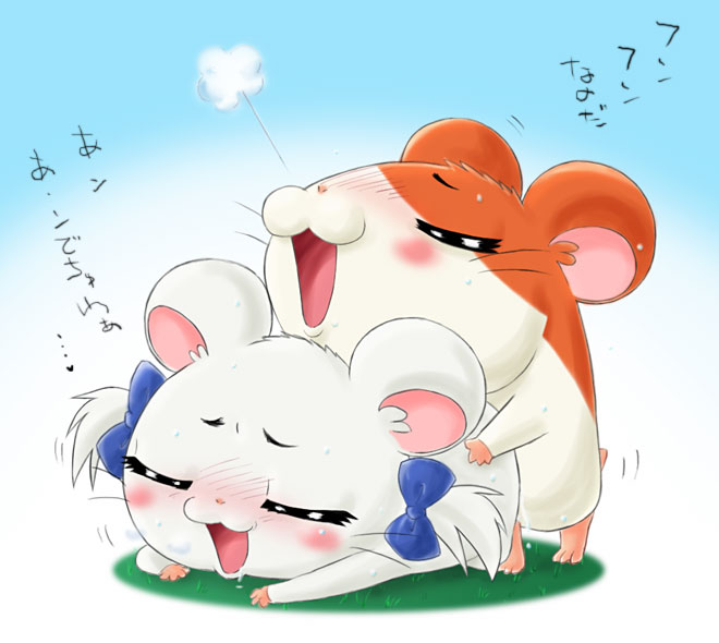 unknown artist, bijou, hamtaro, female, feral, hamster, male, ribbons, straight, 
