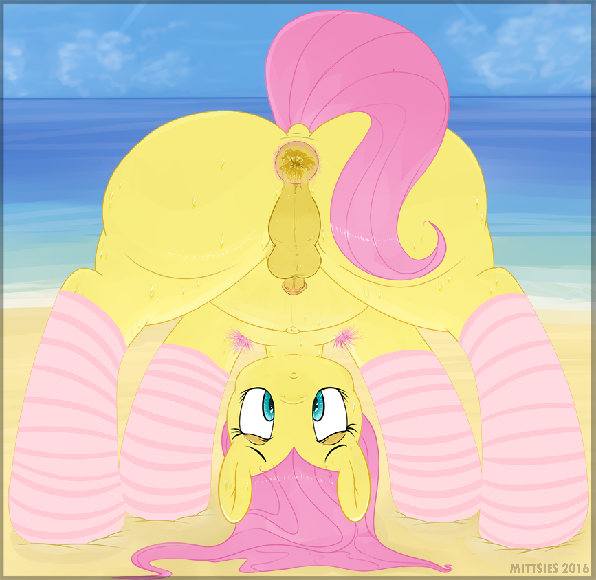 mittsies, fluttershy (mlp), friendship is magic, my little pony, 2016, animal genitalia, animal penis, anus, ass, balls, beach, dickgirl, equine, equine penis, erection, feral, horsecock, intersex, mammal, outside, pegasus, penis, pubes, seaside, solo, wings, 