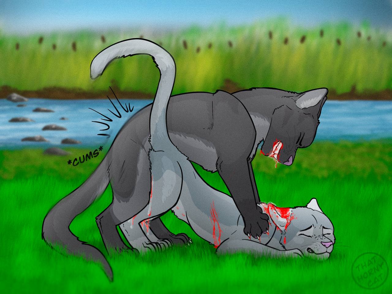 Warrior cats rule 34