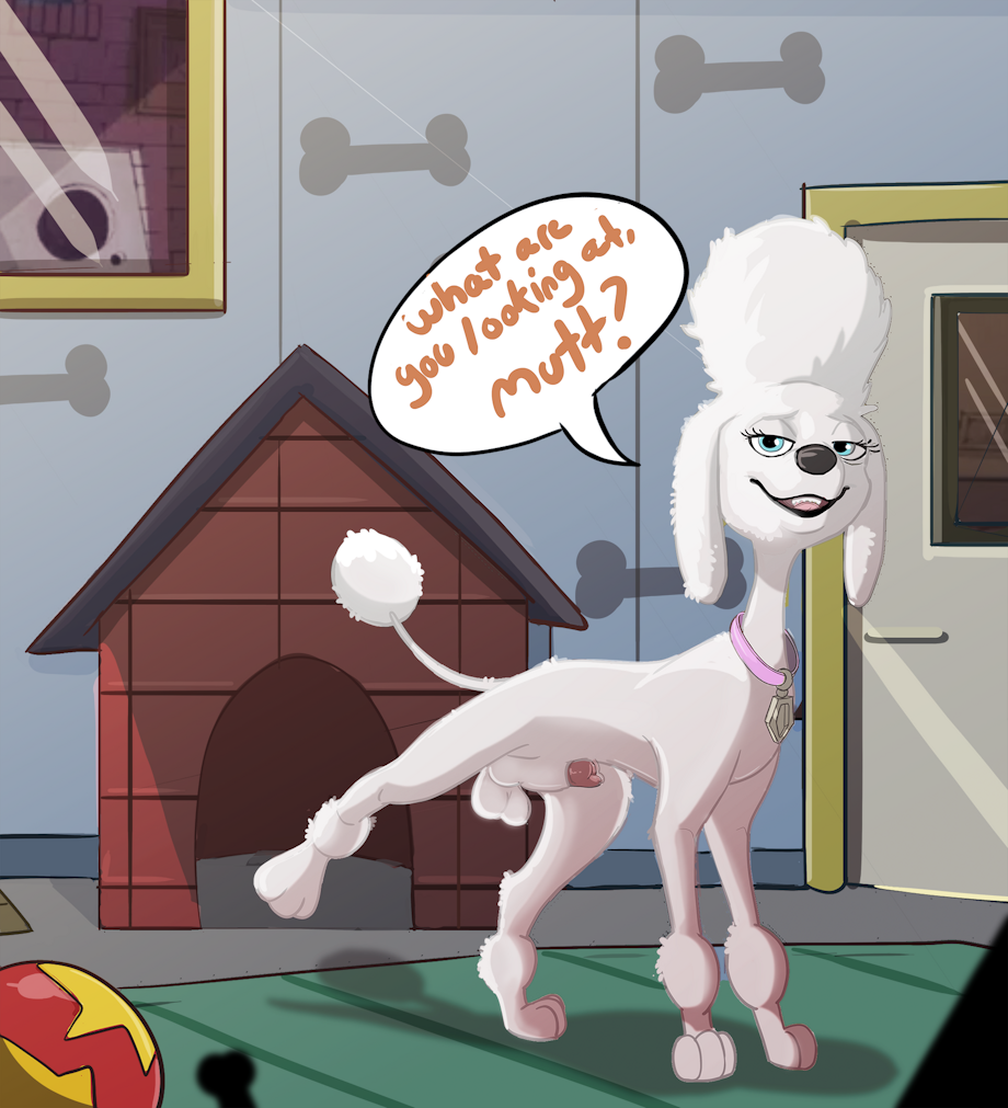 Feral poodles