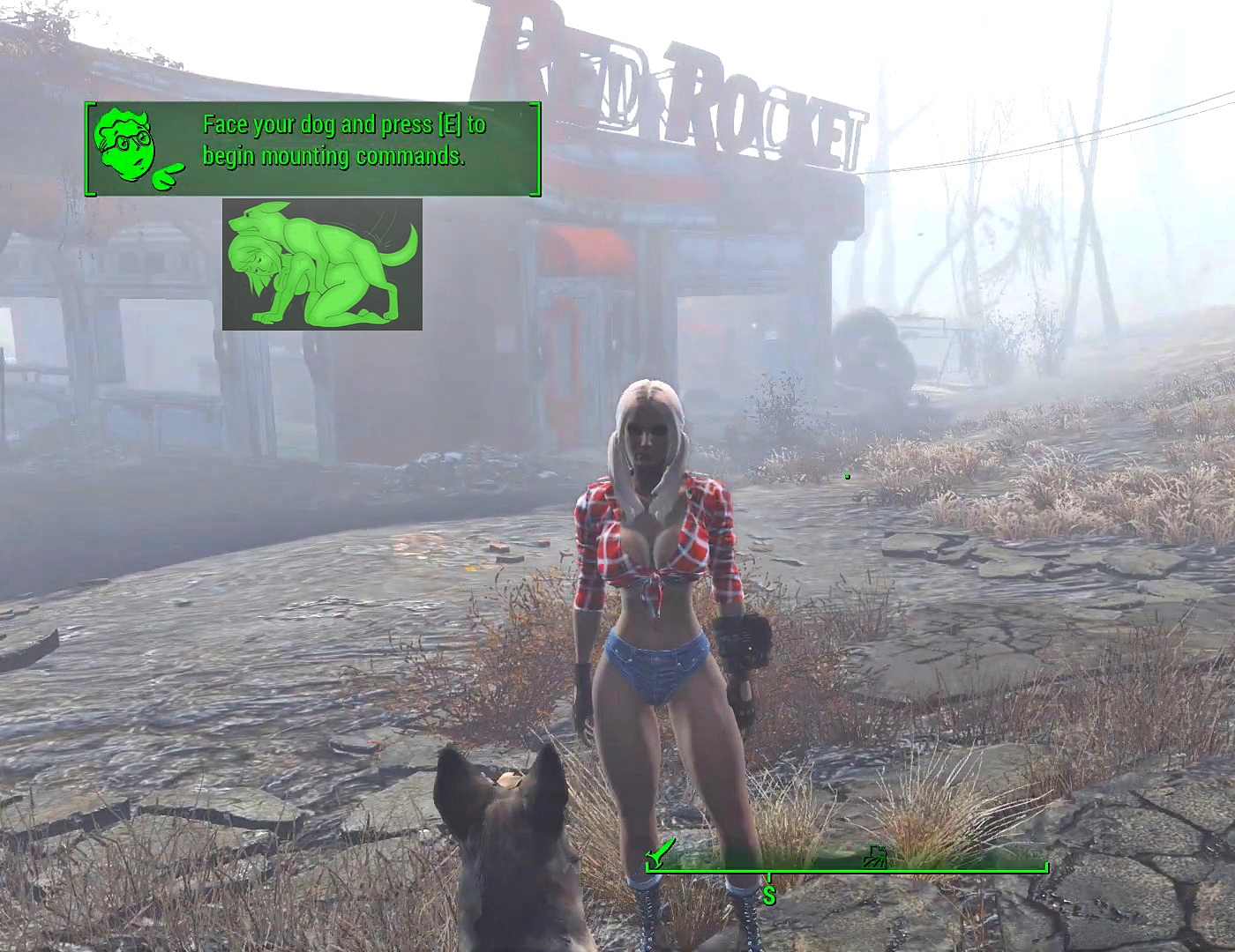 Fallout 4 dogmeat no фото 49