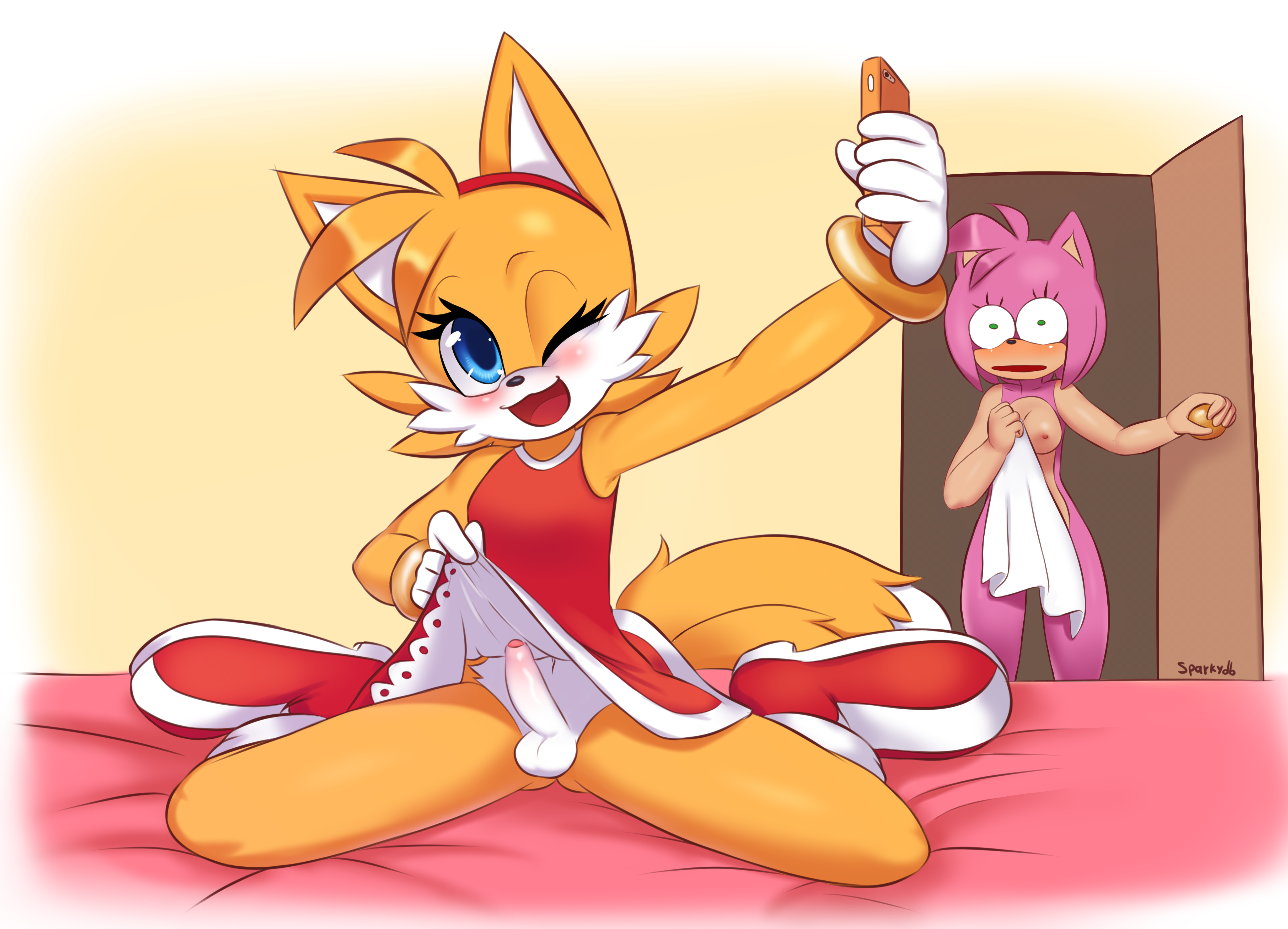 Rule34 - If it exists, there is porn of it  sparkydb, amy rose, tails   807172