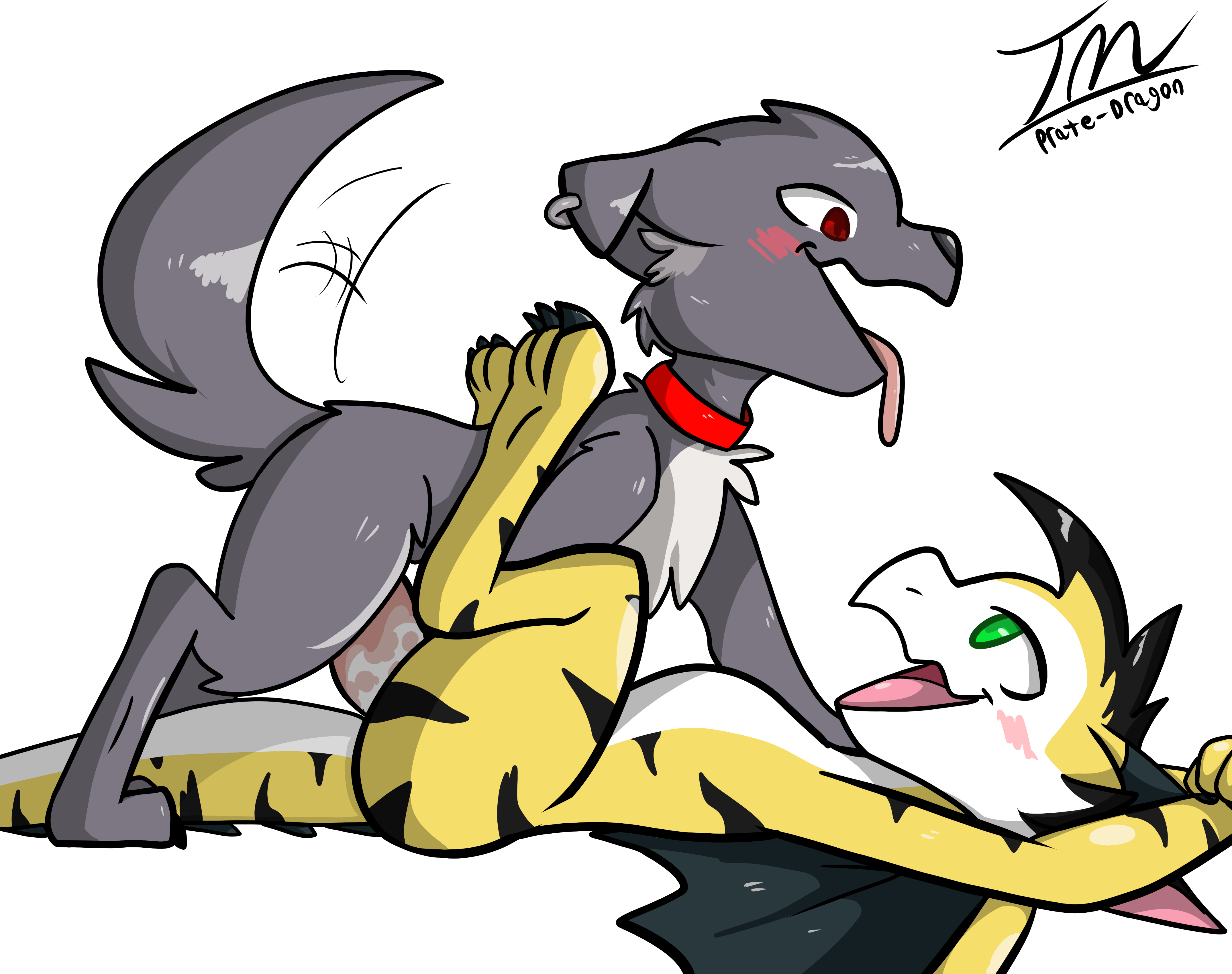 2020, absurd res, hi res, simple background, transparent background, alpha channel, anal, anal sex, bluesh, blush, canid, canine, canis, collar, dragon, duo, dustin (iceunicorn), ear piercing, erection, eye contact, feral, fur, genitals, green eyes, grey body, grey fur, legs up, looking at another, lying, male, male/male, male penetrated, male penetrating, male penetrating male, mammal, nude, on back, open mouth, penetration, penis, piercing, prate, red eyes, sex, side view, signature, spitfiremlp, tailwag, tongue, tongue out, wings, wolf, yellow body, 