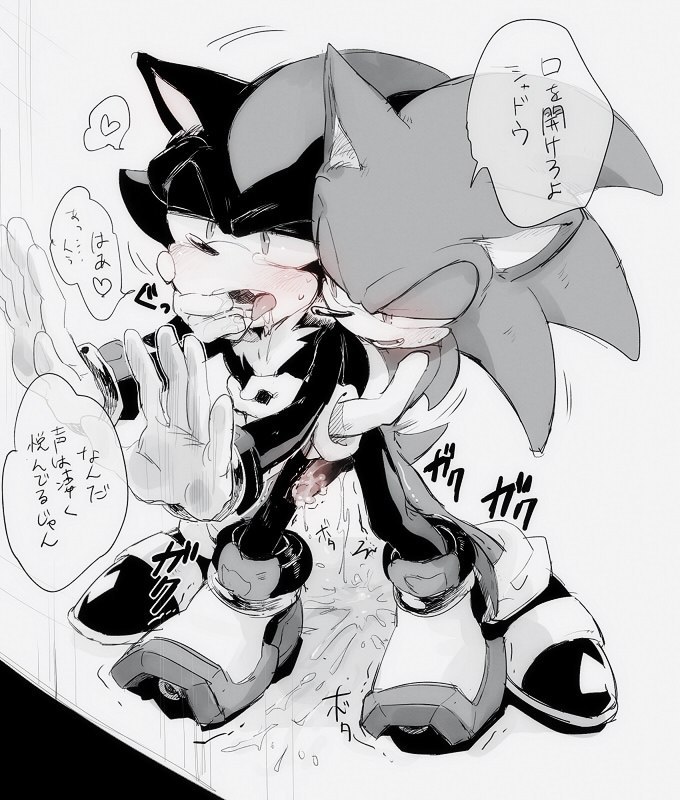 Rule34 If It Exists There Is Porn Of It Unknown Artist Shadow The