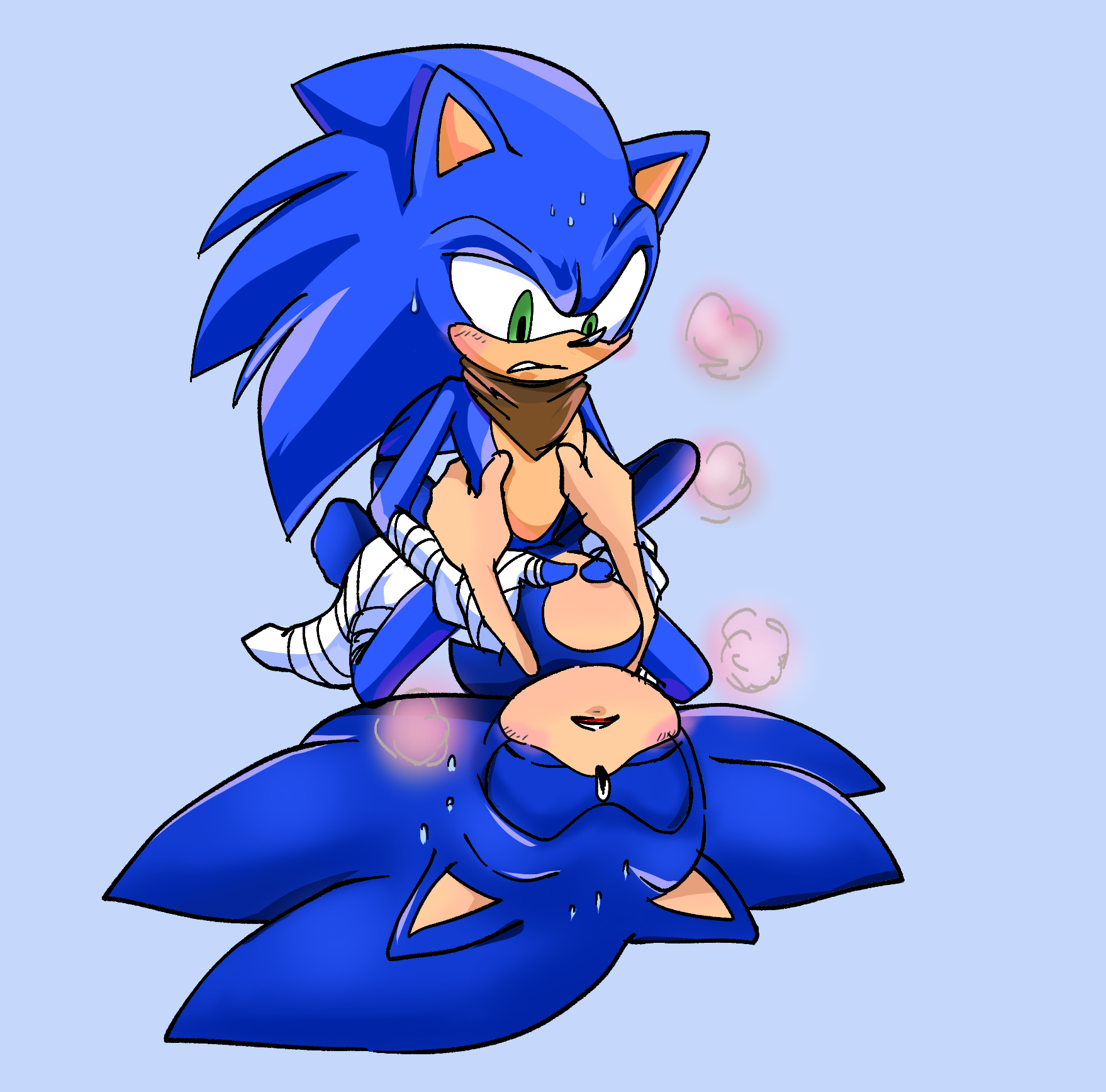 Rule34 - If it exists, there is porn of it / sonic the hedge