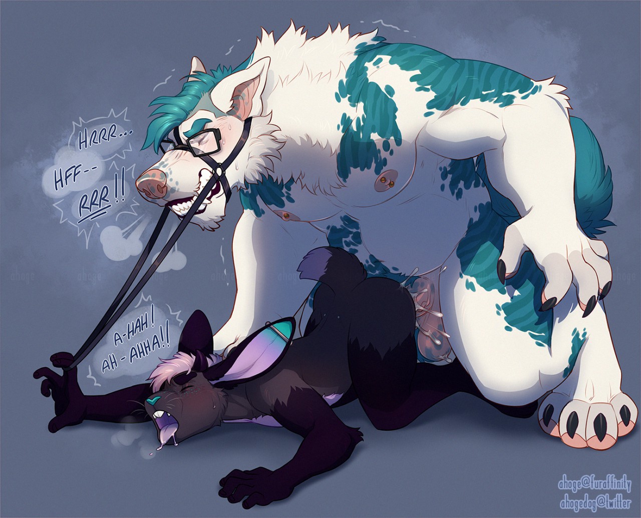 ahoge (artist), text, all fours, anal, anal sex, blue fur, buckteeth, canid, canine, canis, clenched teeth, cum, eyewear, fur, glasses, grey fur, lagomorph, male, mammal, nipple piercing, nipples, open mouth, orgasm, orgasm face, penetration, penis, piercing, rabbit, reins, saliva, teeth, tongue, tongue out, white fur, yaoi, 