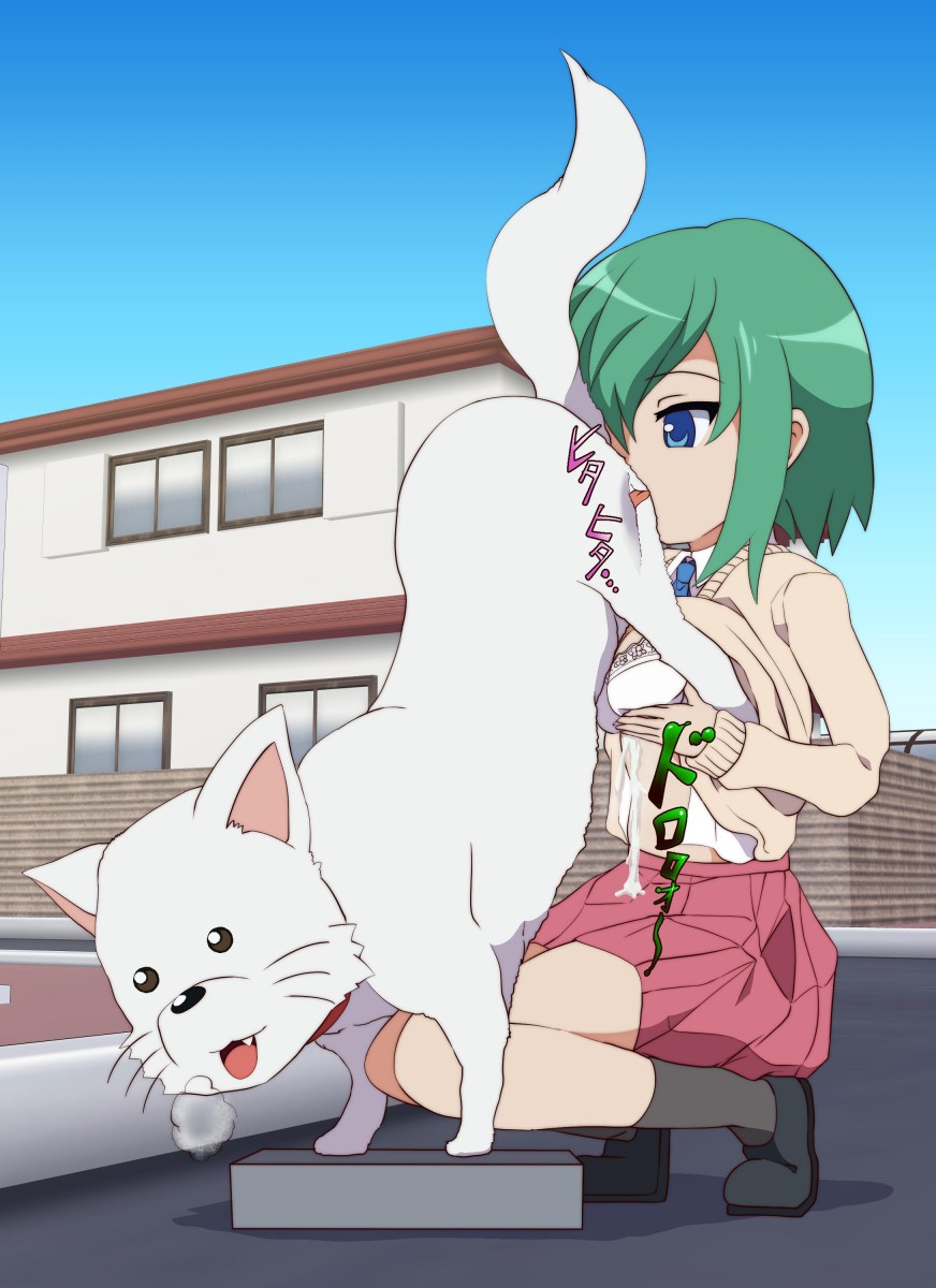 iwasaki minami, lucky star, blue eyes, blush, bra, breasts, canine, clothing, cum, cum on clothes, ejaculation, female, green hair, large breasts, oral sex, paizuri, shirt lift, skirt, underwear, uwa~a, white bra, zoophilia, 