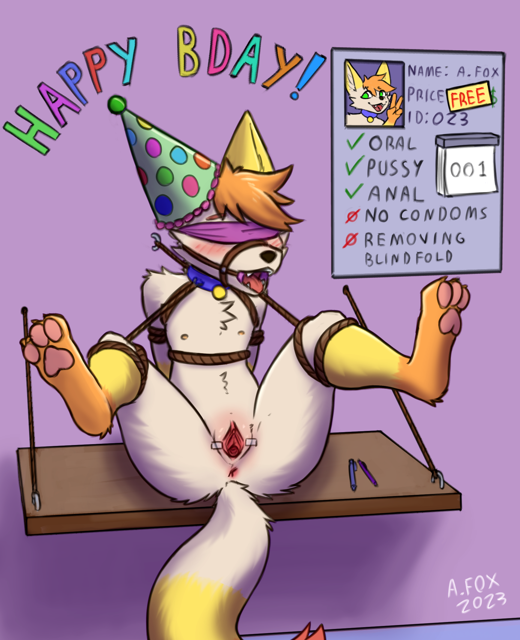 hi res, albafox, andromorph, anthro, anus, <b>birthday</b>, <b>birthday</b> hat, blindfol...