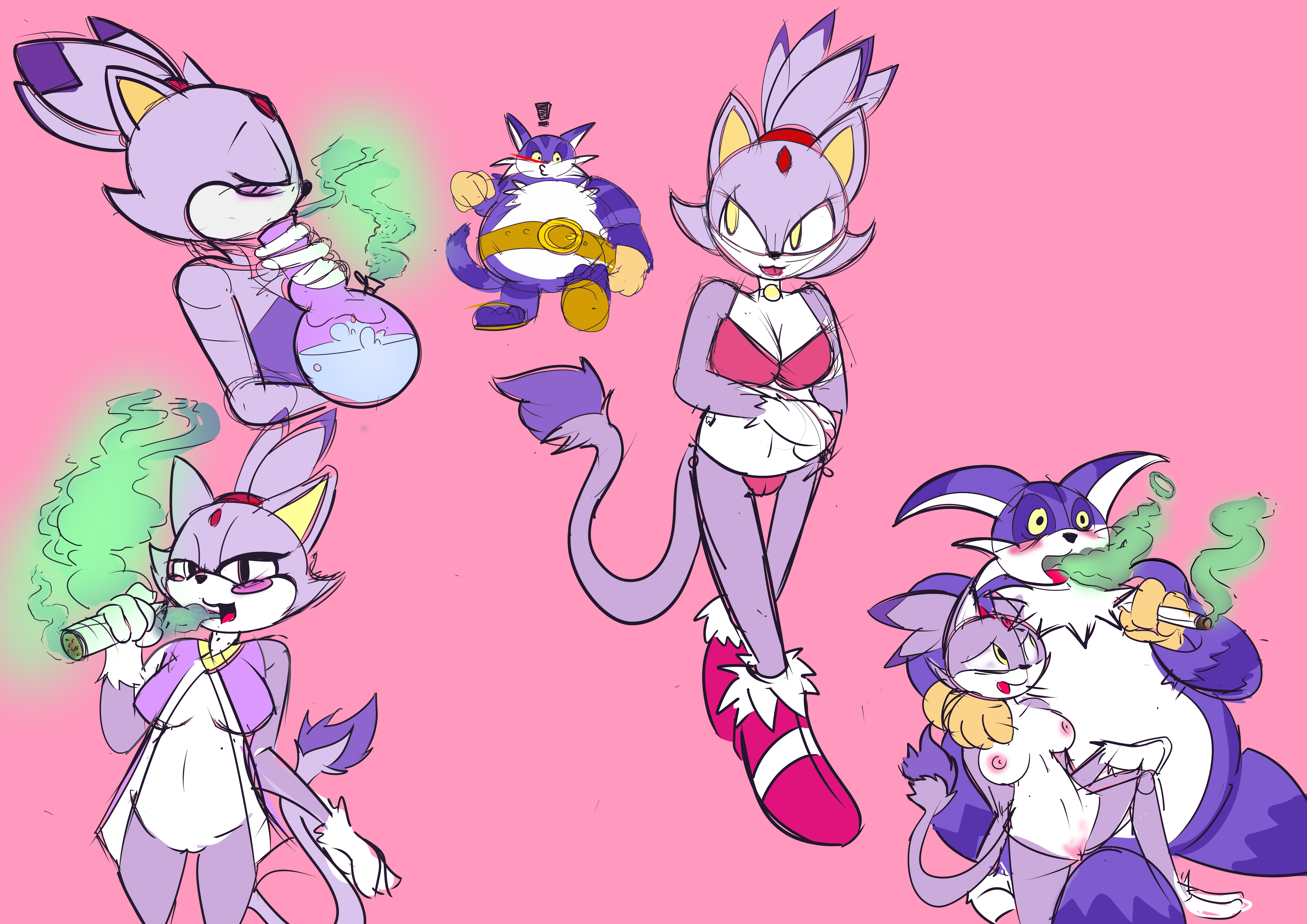 Sexy Blaze The Cat