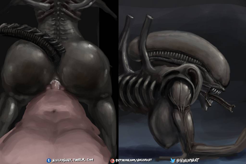 Rule34 - If it exists, there is porn of it / xenomorph / 3216183.