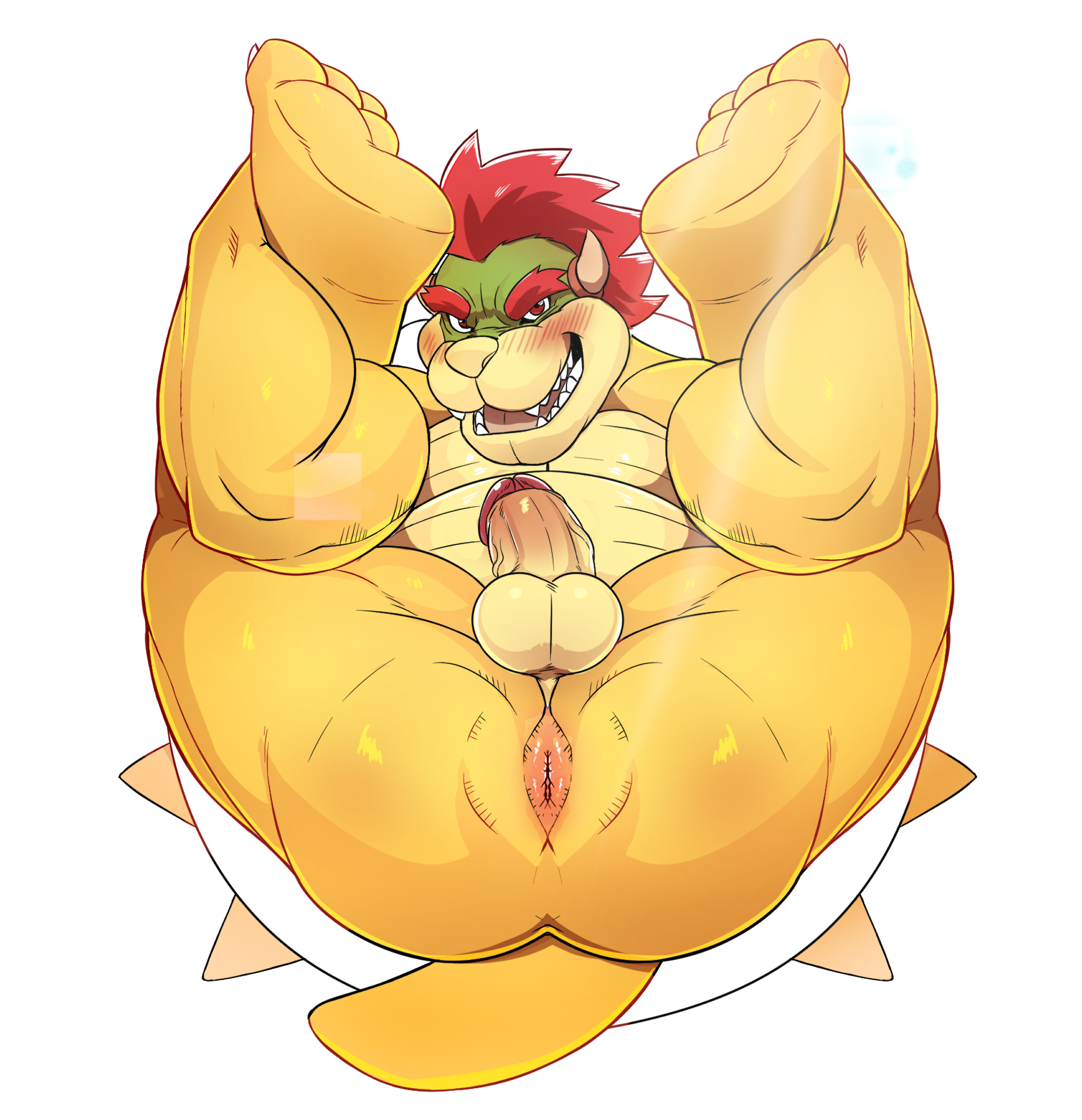 Bowser xxx