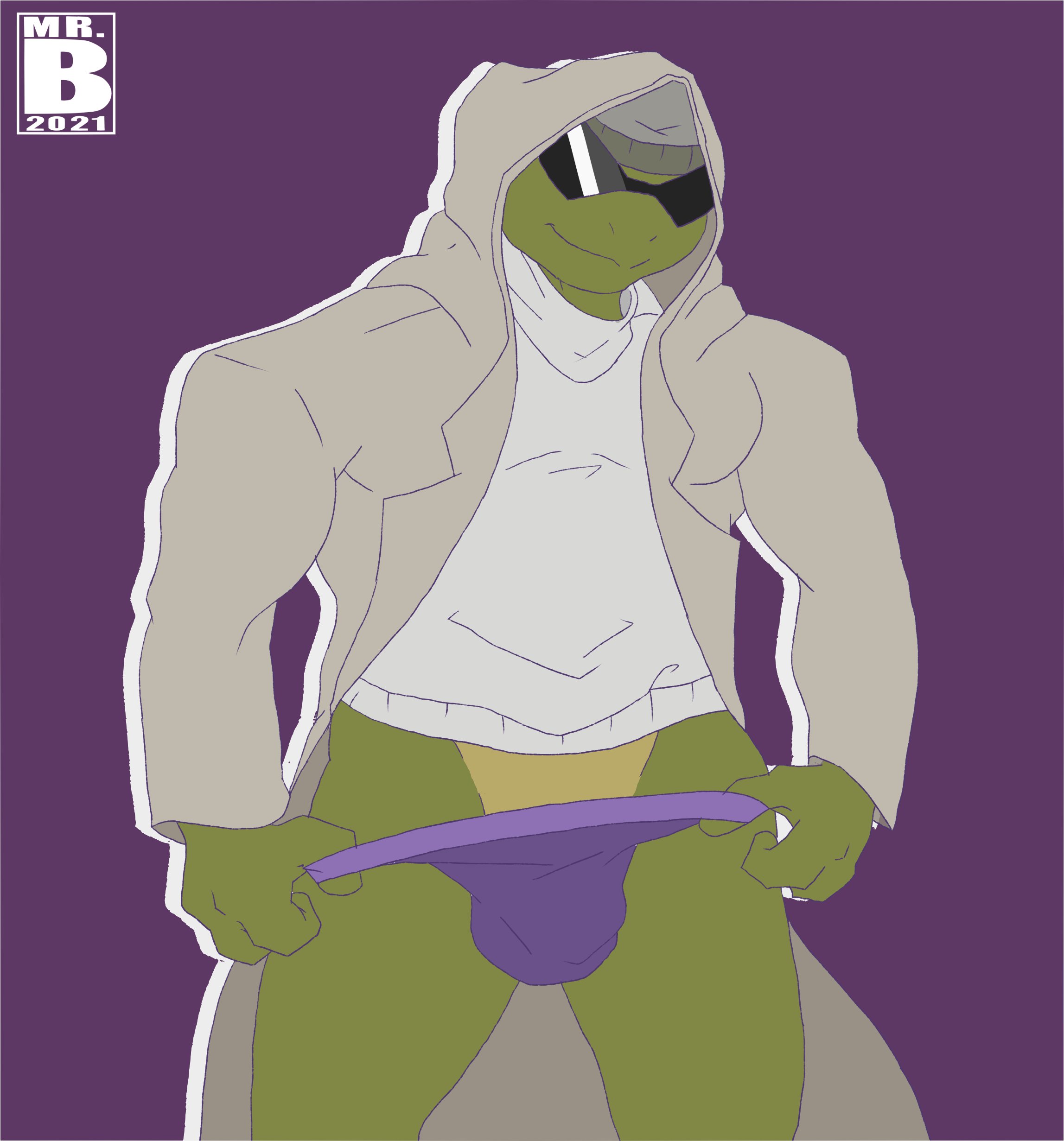 donatello (tmnt), teenage mutant <b>ninja</b> <b>turtles</b>, absurd res, hi res, pose, a...