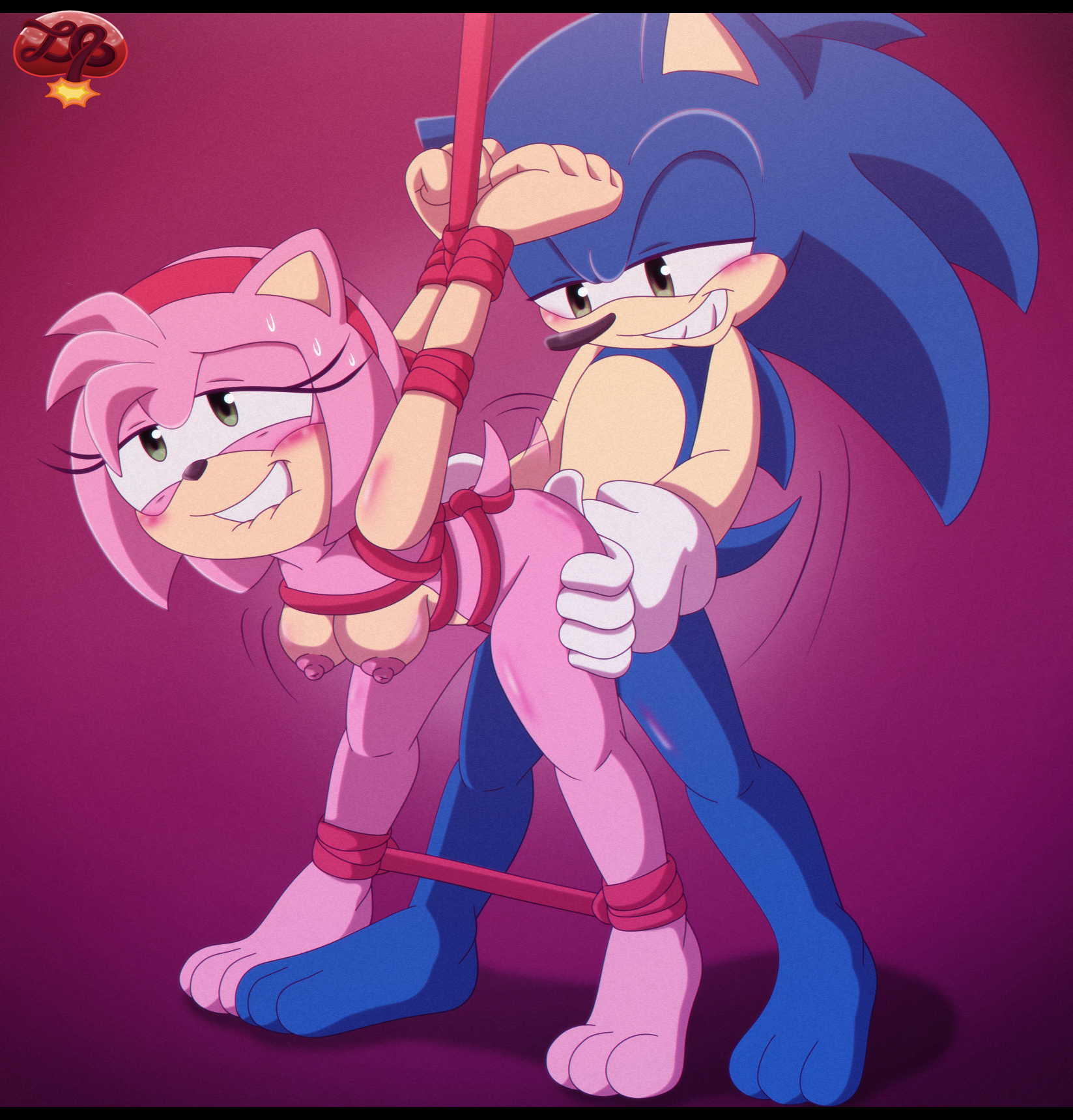 Rule34 - If it exists, there is porn of it  amy rose, sonic the hedgehog   7155188