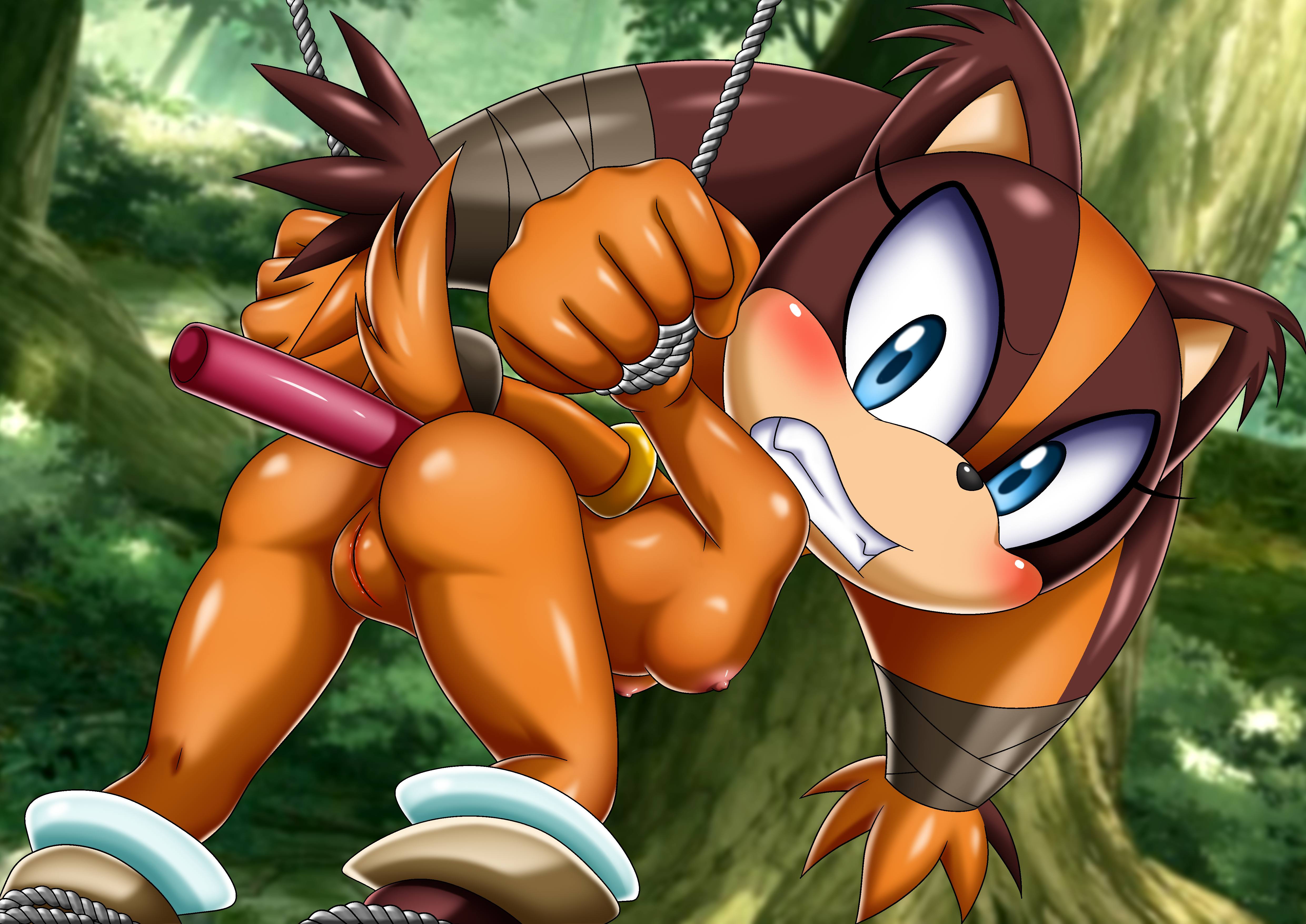 bbmbbf, palcomix, sticks the jungle badger, mobius unleashed, sega, sonic (...