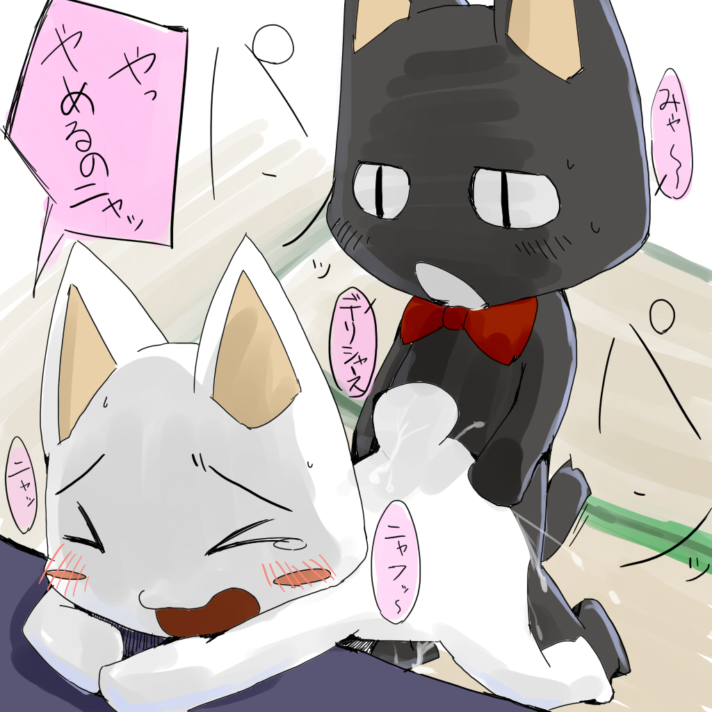 Kuro and toro