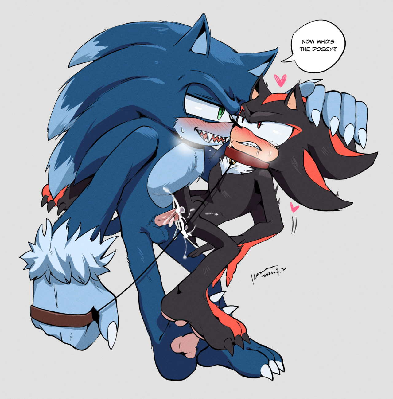 Shadow and werehog sonic