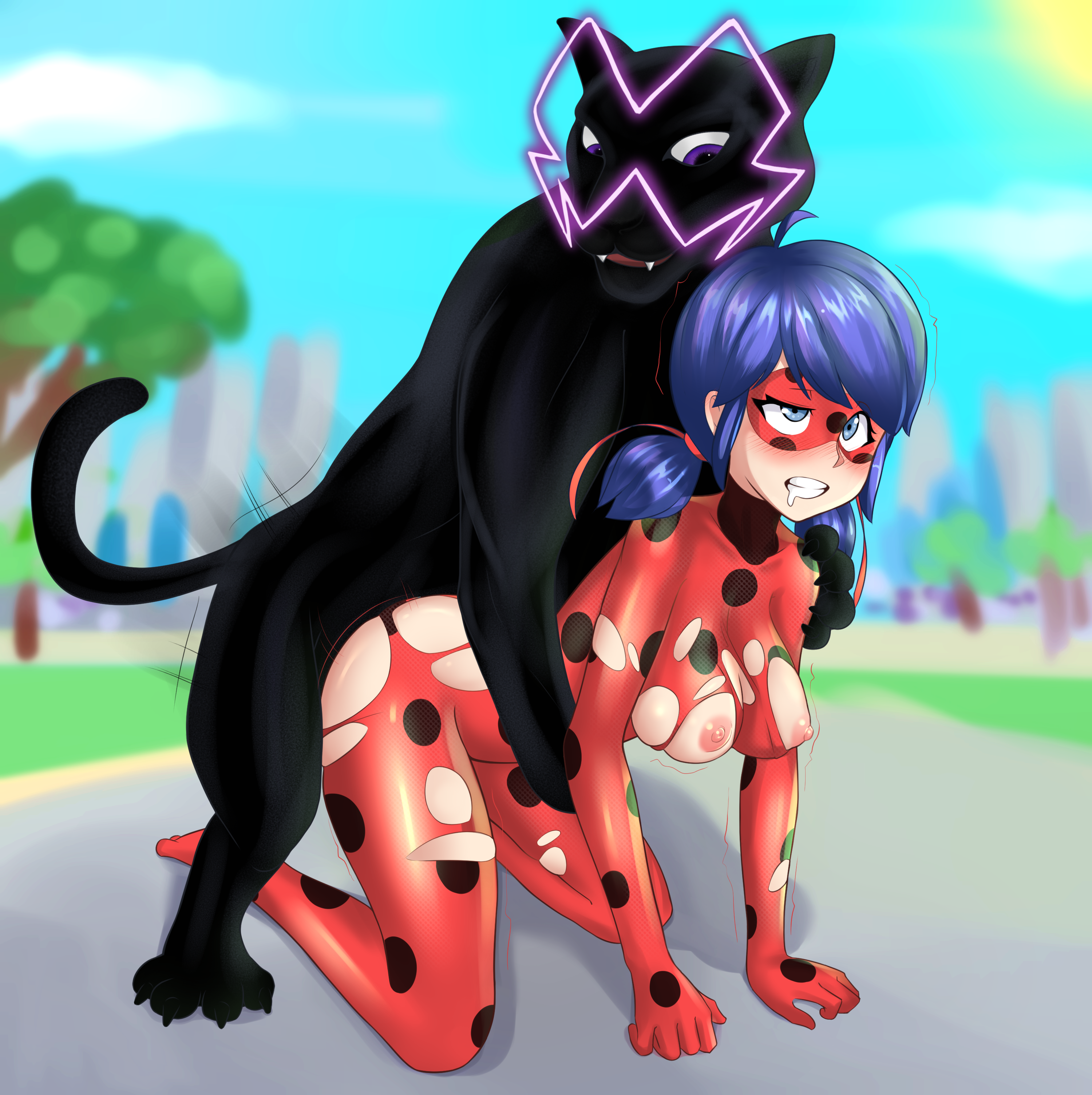 Anime chat noir ladybug nackt pussy