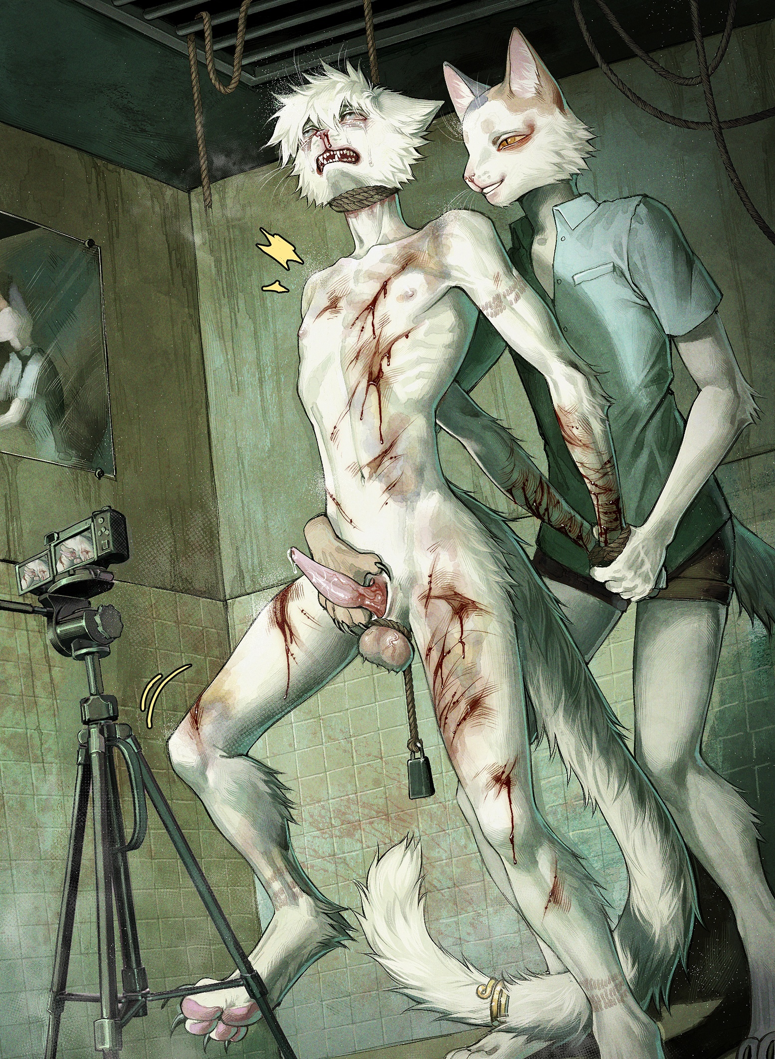 hi res, 2023, abuse, animal genitalia, animal penis, anthro, asphyxiation, ball bondage, ball stretcher, balls, biped, bodily fluids, camera, cheek tuft, claws, clothing, cock and ball torture, detailed, digitigrade, domestic cat, duo, erection, eye roll, facial tuft, felid, feline, felis, frank-79, genital fluids, genital torture, genitals, gore, head tuft, inside, male, male/male, mammal, mutilation, navel, nipples, nude, open mouth, pain, pawpads, penis, pink nose, precum, pupils, recording, restrained arms, rope, shirt, slit pupils, smile, standing, tears of pain, teeth, toe claws, topwear, tuft, whiskers, white body, wounded, 
