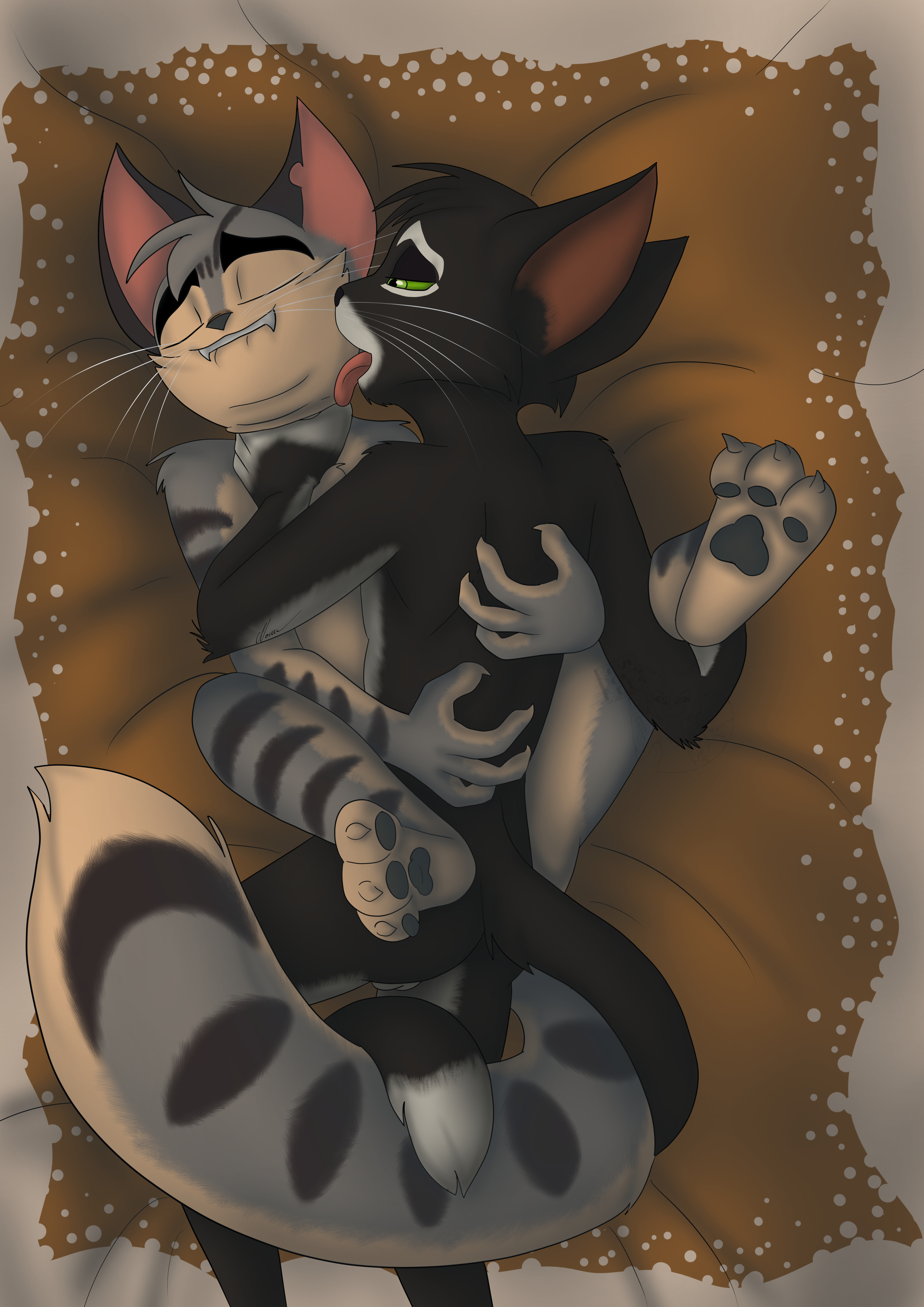 Lackadaisy rocky x mordecai