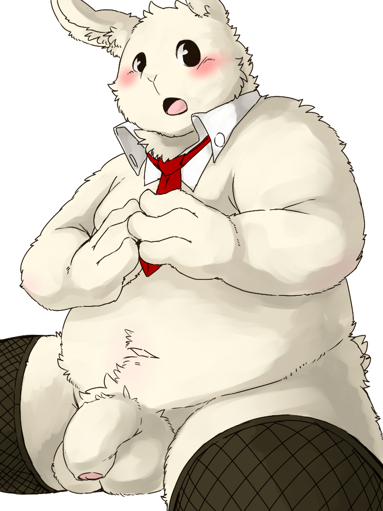 donguri, simple background, 1boy, 4 fingers, anthro, balls, blush, chubby, clothing, flaccid, fur, humanoid penis, lagomorph, legwear, male, male only, mammal, necktie, open mouth, penis, rabbit, sitting, solo, stockings, uncut, white fur, 