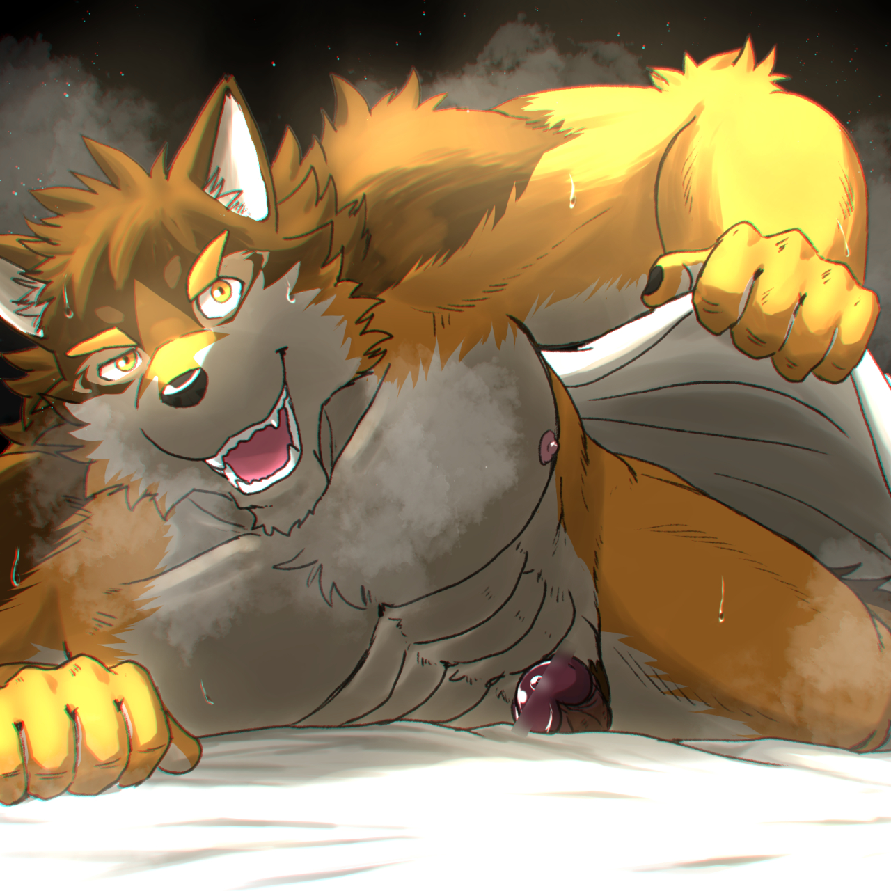 hi res, abs, anthro, barrel (live-a-hero), bed, bedding, blanket, canid, canine, canis, erection, fur, furniture, genitals, live-a-hero, looking at viewer, male, male only, mammal, multicolored body, multicolored fur, muscular, muscular anthro, muscular male, nipples, pecs, penis, run aki, showing penis, solo, solo male, wolf, 