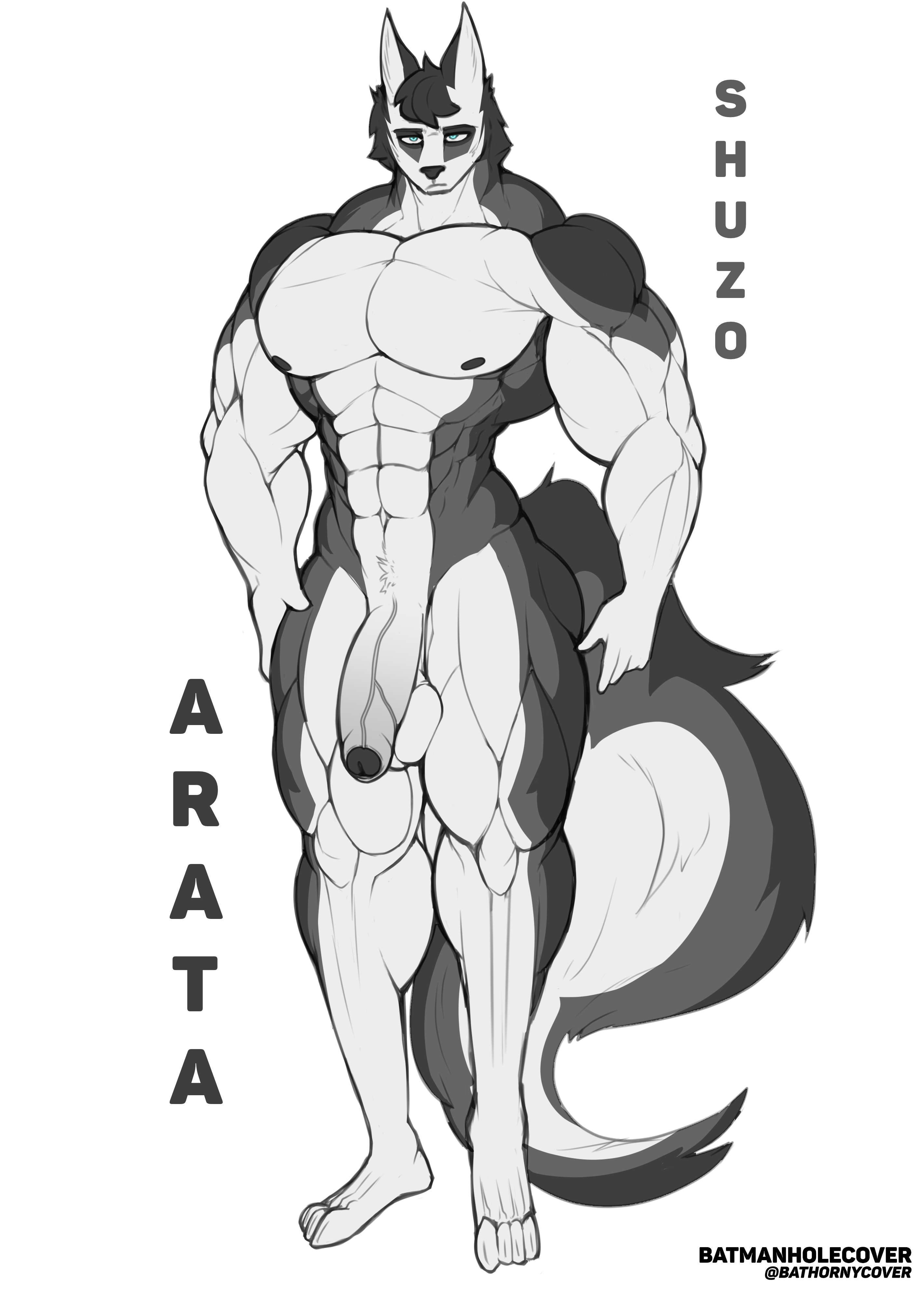 absurd res, hi res, watermark, abs, anthro, arata (batmanholecover), batmanholecover, big muscles, blue eyes, canid, canine, foreskin, genitals, male, male only, mammal, muscular, muscular male, nude, penis, solo, 