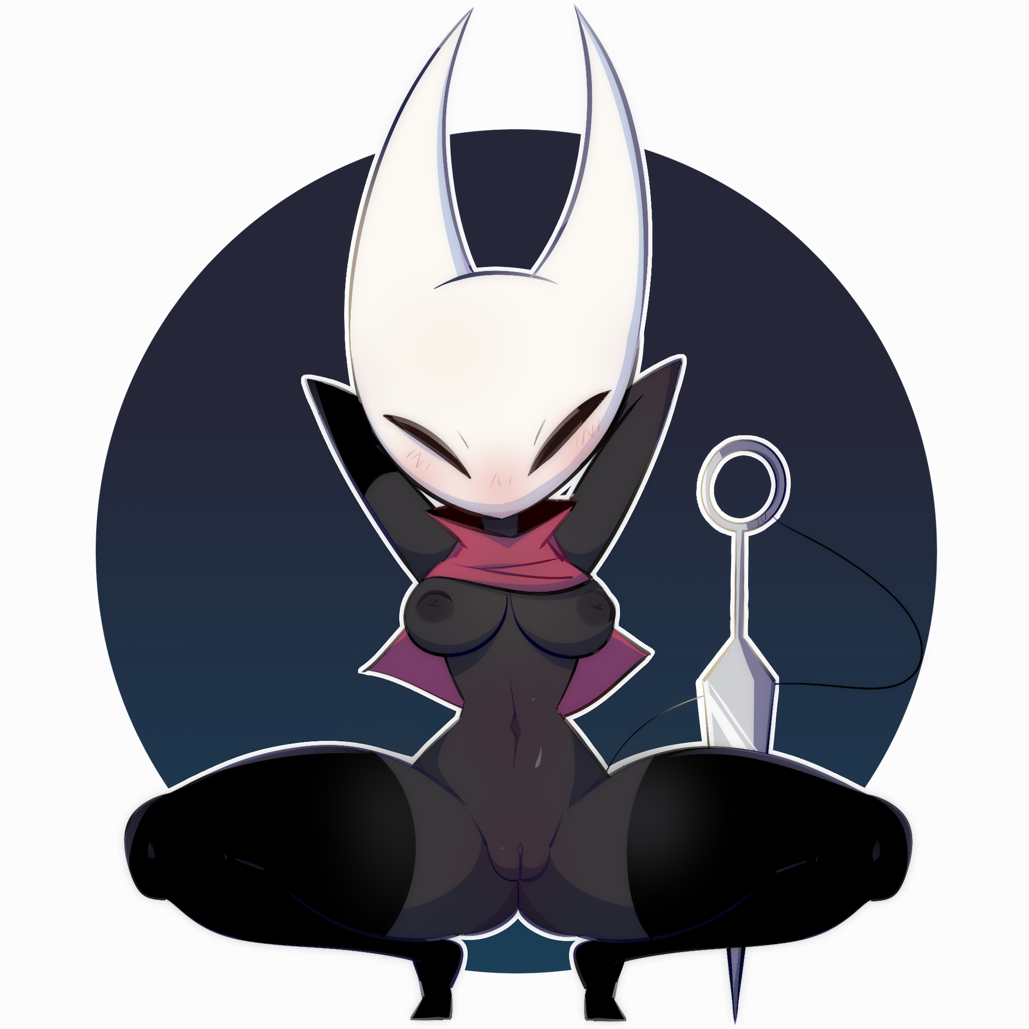 Hollow knight hornet naked