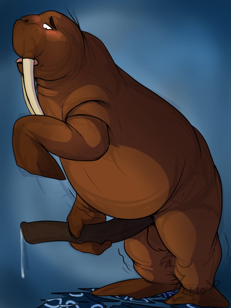 Walrus porn