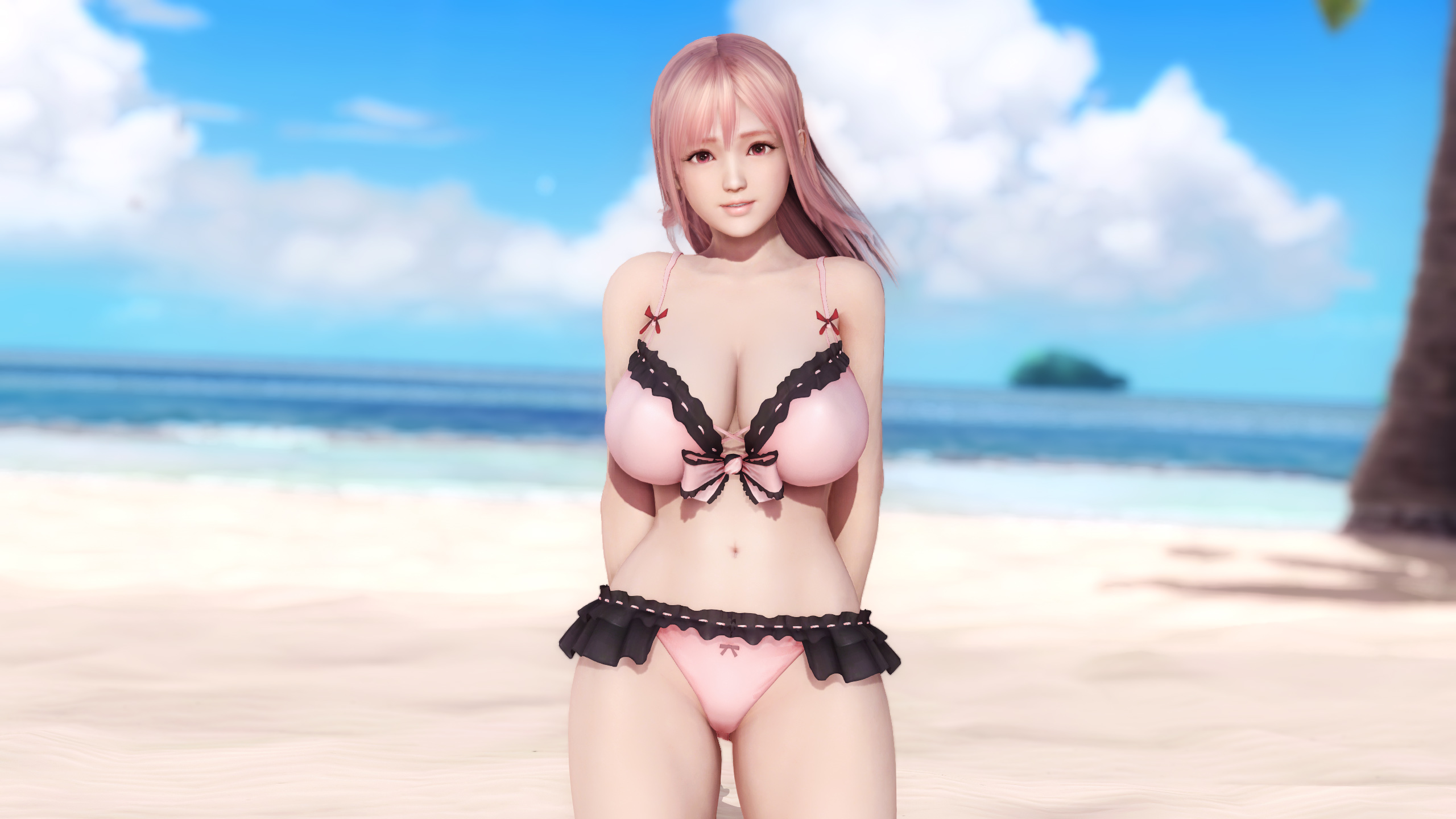 Dead or alive 5 dlc unlocker steam фото 63