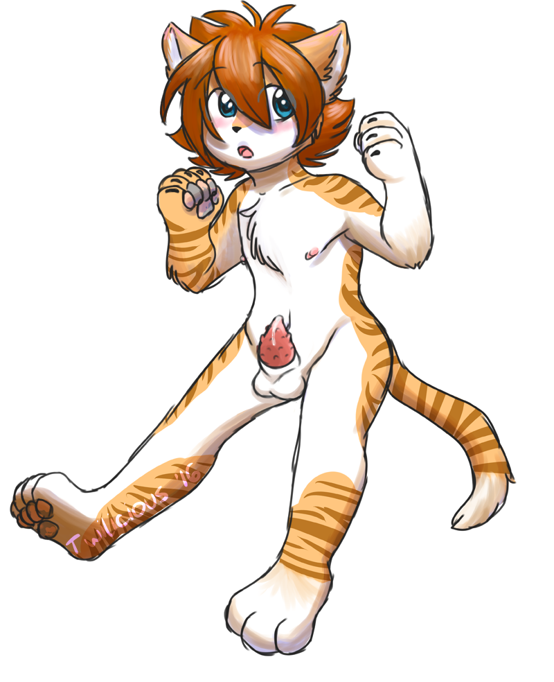 twilicious, tabby, animal genitalia, anthro, balls, blush, cum, erection, feline, furry only, kemono, male, male only, mammal, no humans, nude, pawpads, penis, sheath, stripes, twink, 