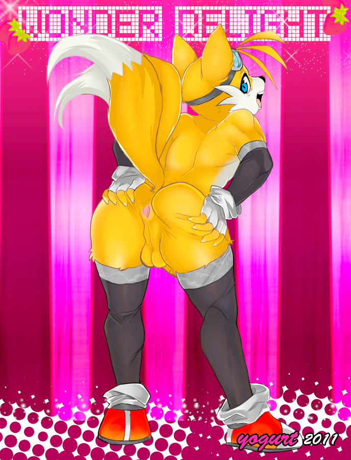 milkcrown, miles prower, tails, sega, sonic (series), 2011, color, anthro, anus, ass, back view, backsack, balls, canine, clothing, erection, eyewear, femboy, fox, fur, furry, girly, gloves, goggles, legwear, male, male only, mammal, multiple tails, no humans, penis, presenting, presenting hindquarters, rear view, socks, solo, spread ass, spreading, tail, testicles, thigh highs, thighhighs, 