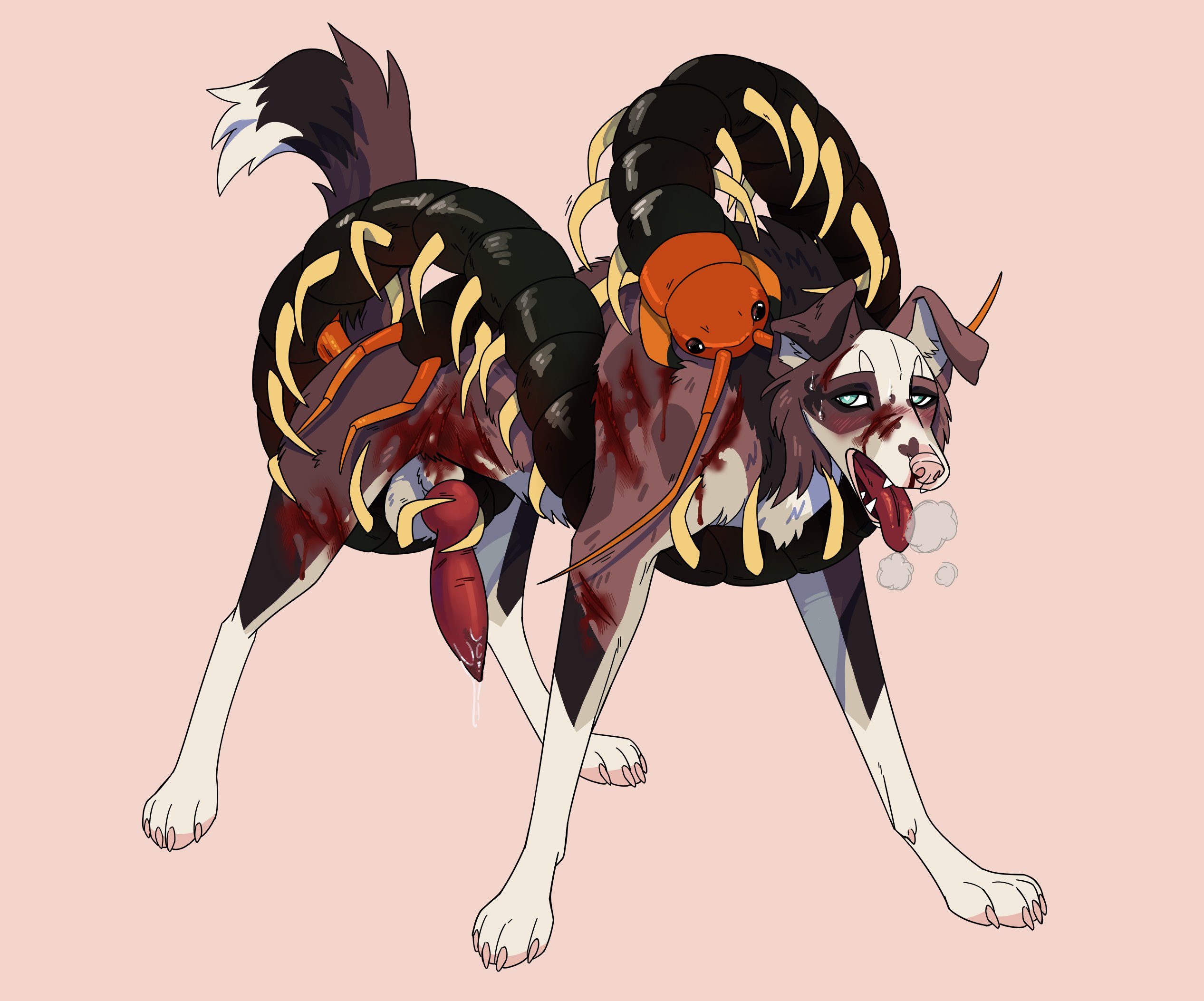 hi res, animal genitalia, animal penis, anthropophagiac, arthropod, bodily fluids, breath, canid, canine, canine genitalia, canine penis, canis, centipede, domestic dog, duo, erection, feral, feral on feral, feral penetrated, feral penetrating, feral penetrating feral, genitals, handjob while penetrating, insectophilia, knot, male, male/male, male penetrated, male penetrating, male penetrating male, mammal, myriapod, panting, penetration, penis, sex, wounded, 