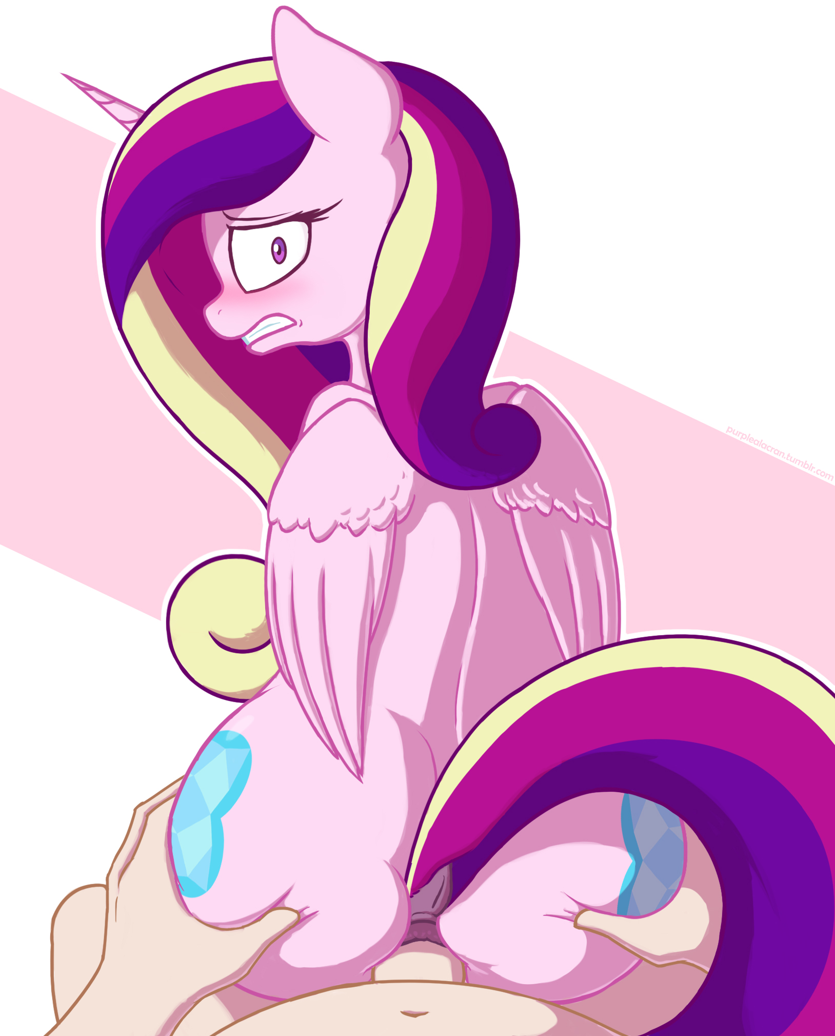 purplealacran, princess cadance (mlp), friendship is magic, my little pony, 2018, hi res, 1boy, 1girls, alicorn, anal, anal sex, ass, ass grab, back, blush, duo, equine, eyebrows, eyelashes, faceless male, feathered wings, feathers, female, feral, first person view, folded wings, furry, hand on butt, horn, human, human on feral, interspecies, looking at viewer, looking back, male, male pov, mammal, navel, on top, penetration, penis, pink feathers, purple eyes, reverse cowgirl position, sex, solo focus, straight, teeth, wide eyed, wings, zoophilia, 