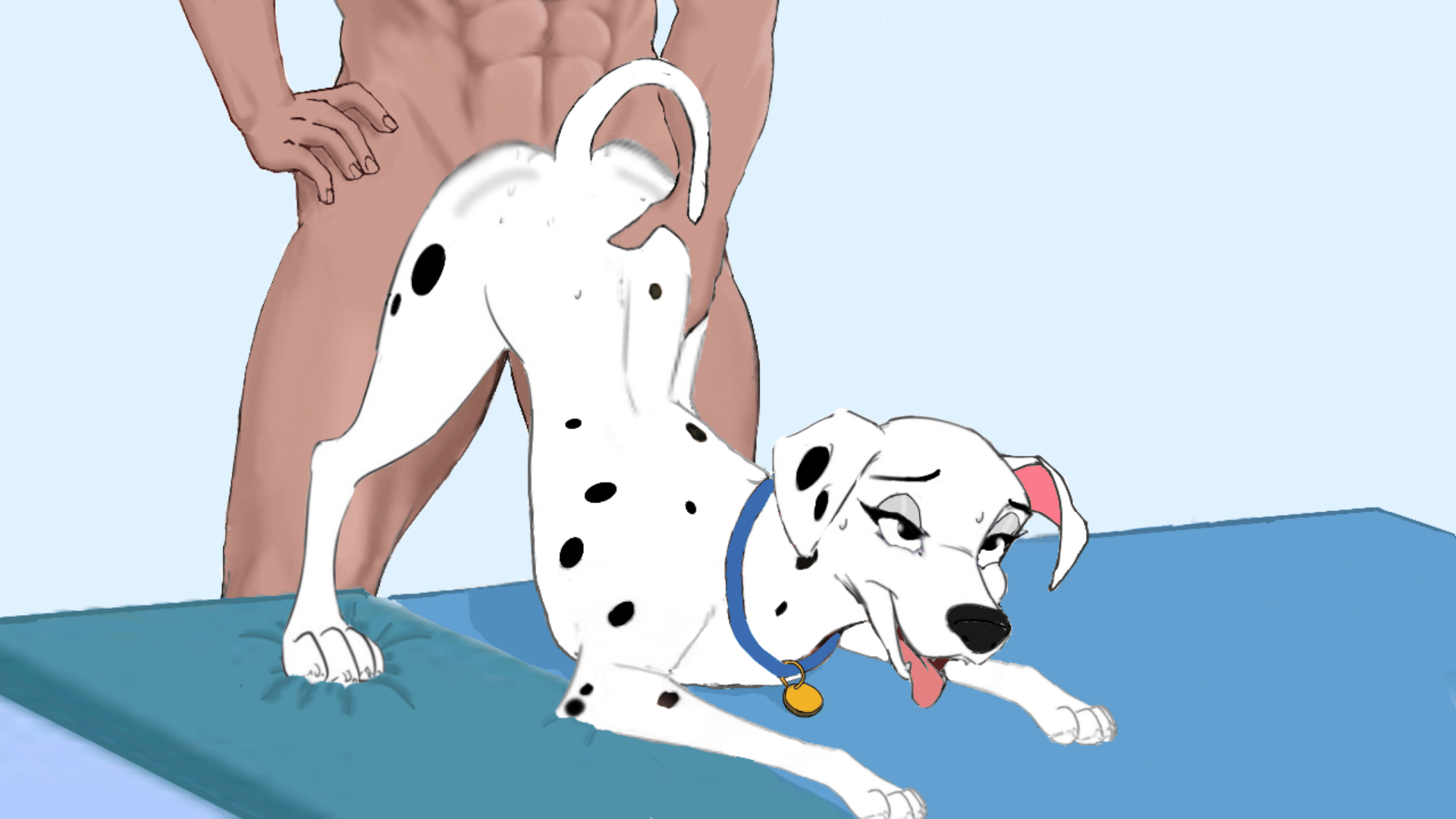 101_dalmatians animated bed blue_background canid canine canis collar dalmatian disney doggy_style domestic_dog duo female feral feral_penetrated from_behind_position furniture hi_res human human_on_feral human_penetrating human_penetrating_feral interspecies male male/female mammal muscular muscular_male on_bed penetration perdita sex simple_background solo_focus tongue tongue_out waist_grab zoophilia