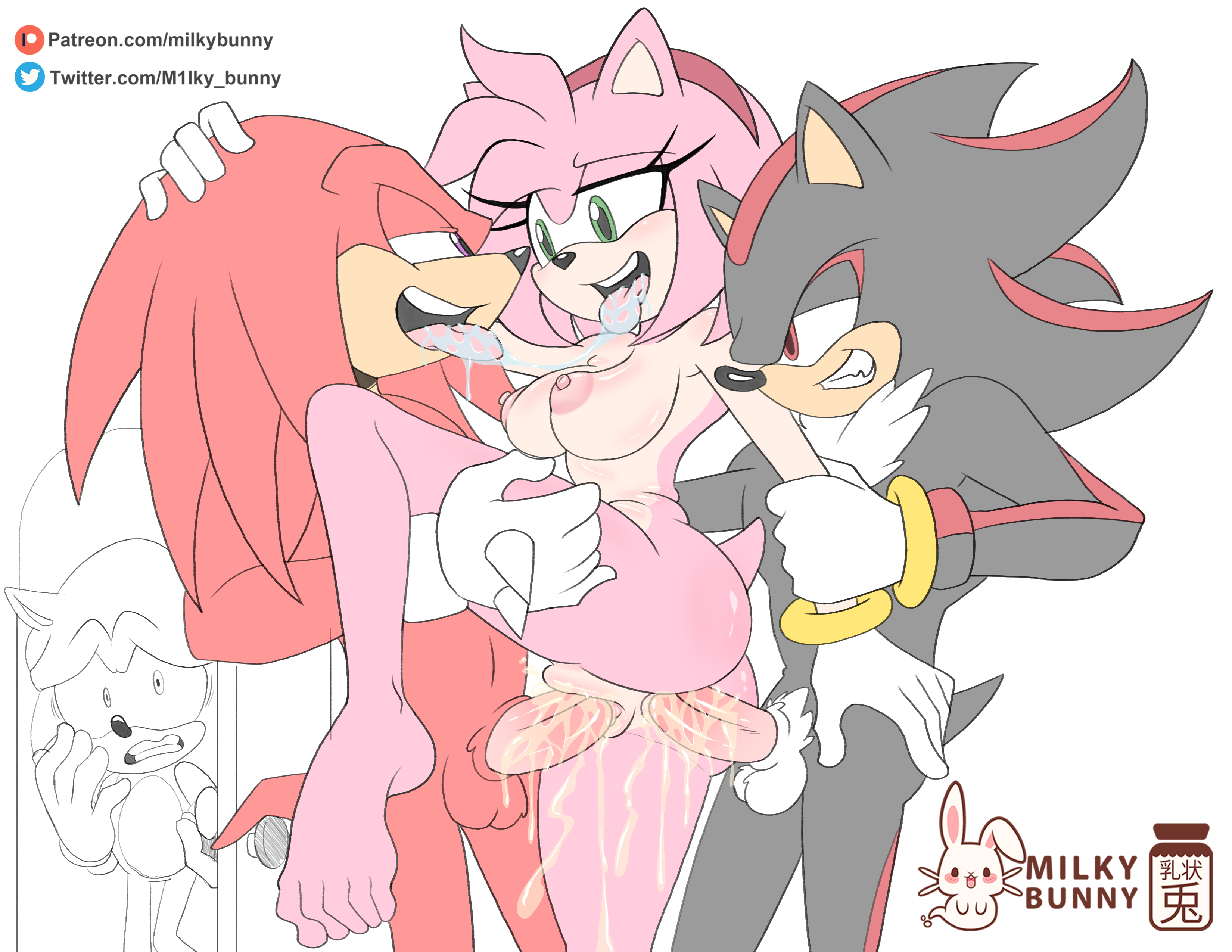 Rule34 - If it exists, there is porn of it / amy rose / 6448193