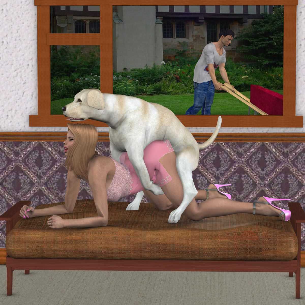 Dog knotted video