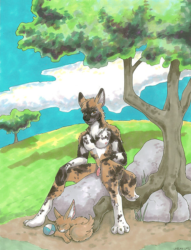 ayame emaya, 2002, 1boy, african wild dog, anthro, ball (object), canid, canine, feral, flaccid, flaccid penis, furry, male, nipples, outdoors, outside, penis, rock, sit, sitting, sitting on rock, tree, wild dog, 