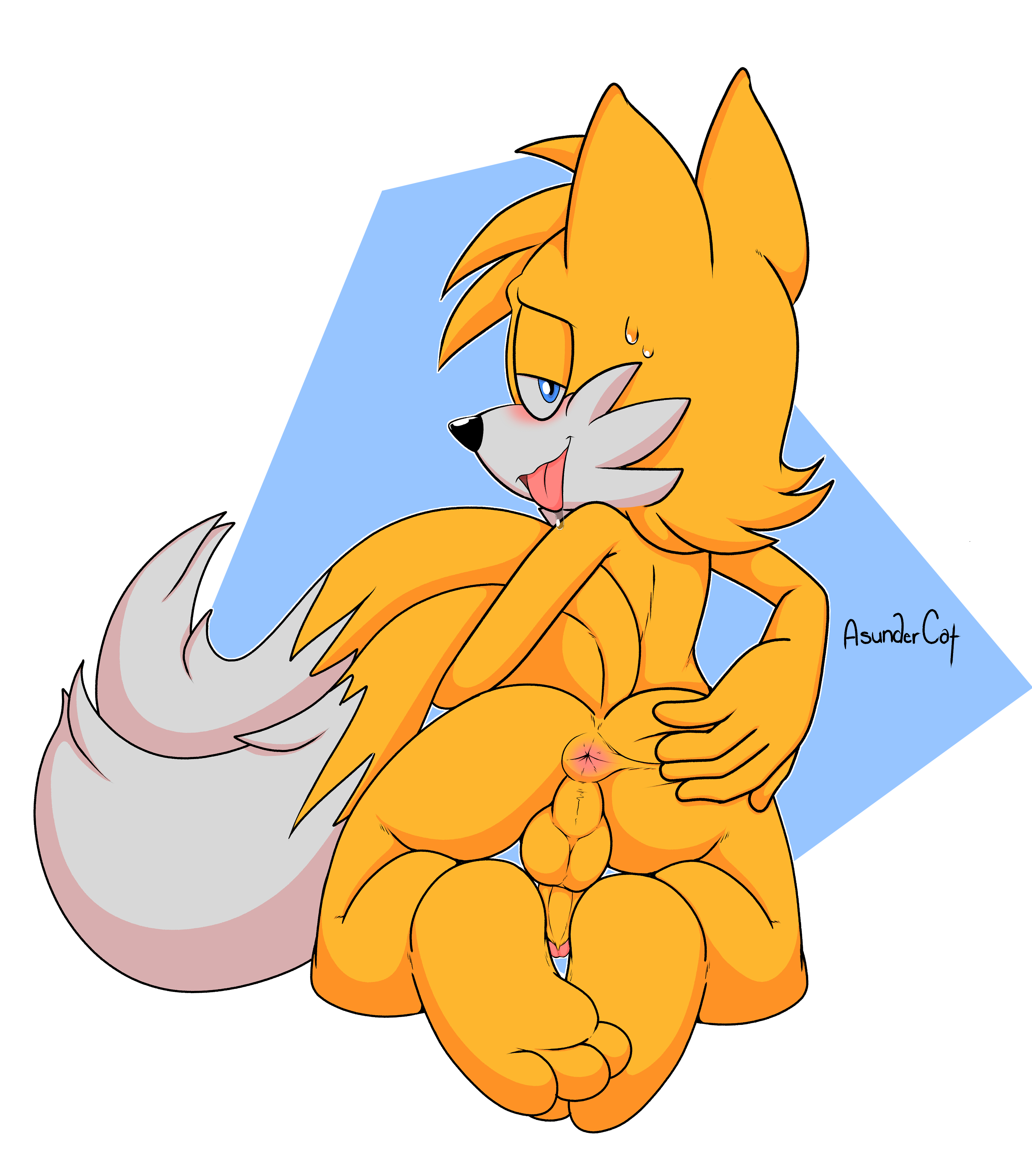 tails, sega, sonic (series), 5 fingers, anus, asundercat, balls, black nose, blue eyes, blush, canid, canine, feet, fingers, fox, half-closed eyes, looking at viewer, looking back, male, penis, solo, sweat, tongue, tongue out, white body, yellow body, 