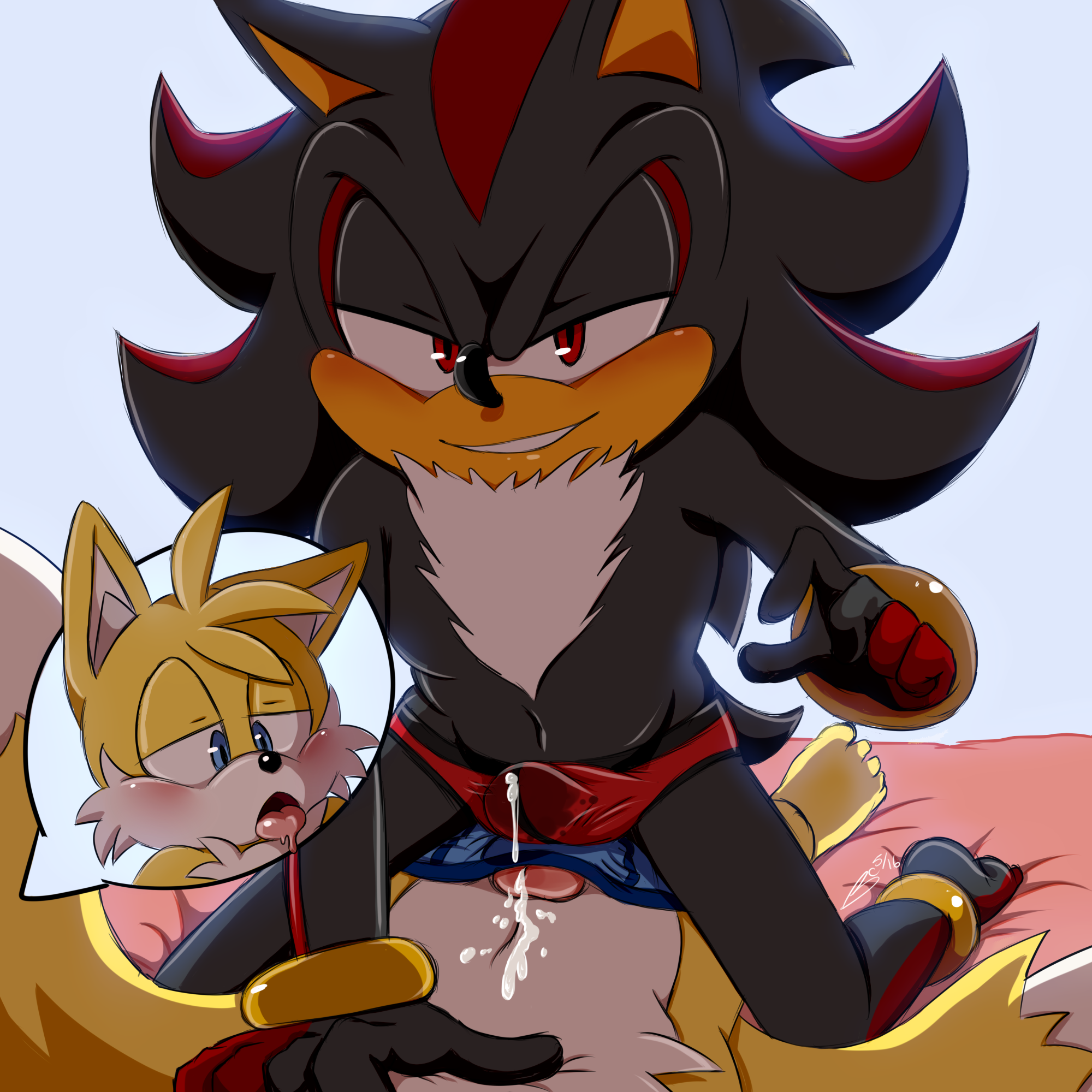 bluechika, shadow the hedgehog, tails, sonic (series), hi res, anthro, cani...