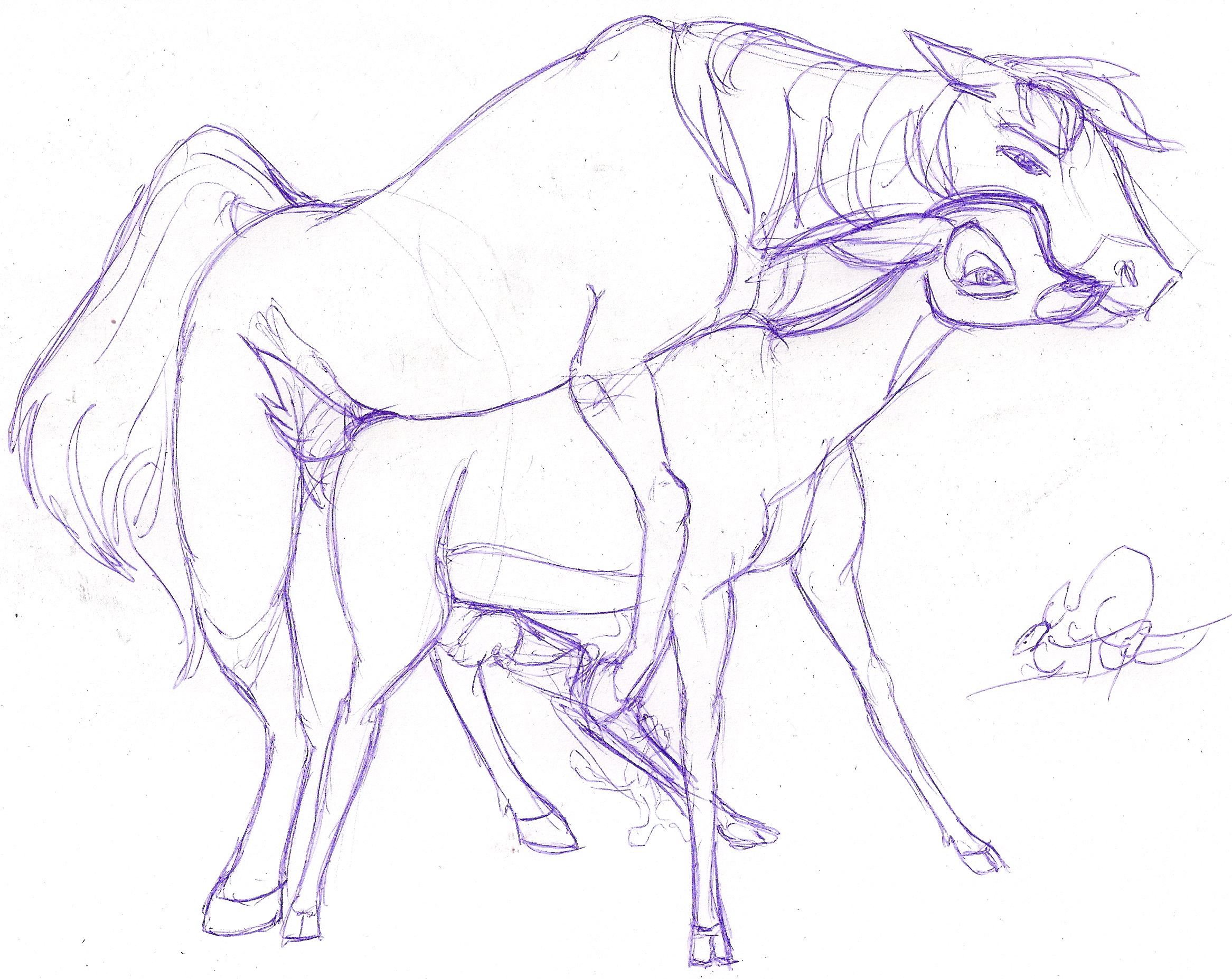 queensmate, bambi, faline, disney, dreamworks, spirit: stallion of the cima...
