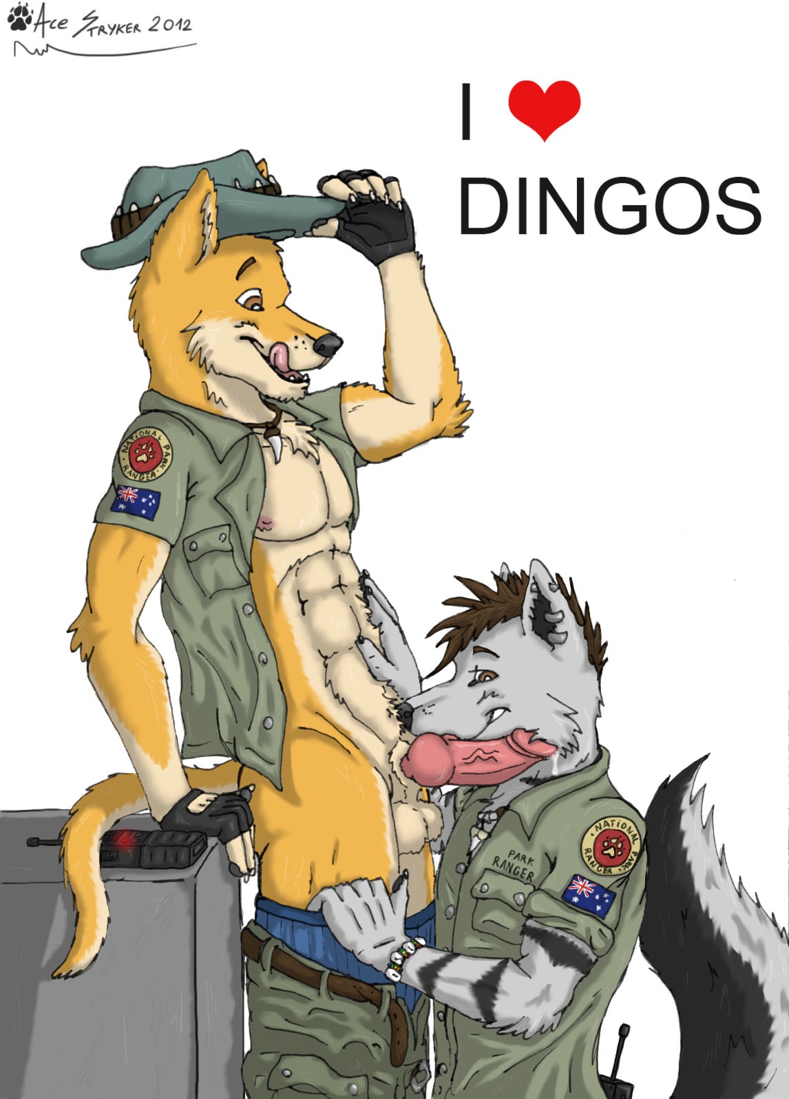 Dingo Porn